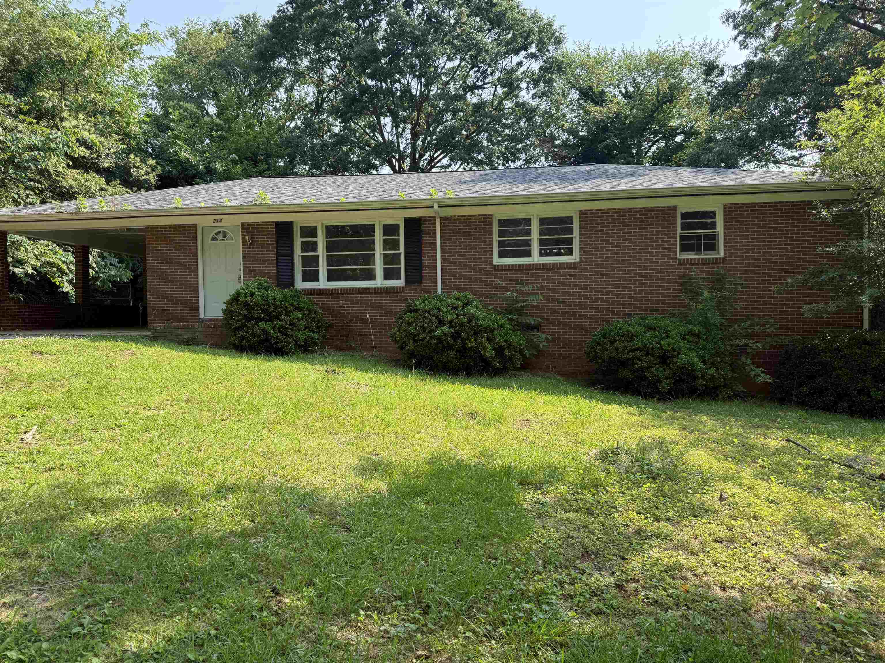 213 Loring Street, spartanburg, South Carolina image 3