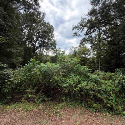 330 TALL OAKS TRL, INMAN, SC 29349 - Image 5620f00c15deaa34b1db271ed8435a2e/1106412155