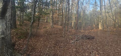 Vacant Land For Sale - Bishop Road<br/> Pauline, SC 29374