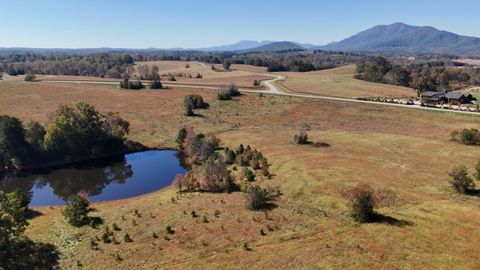 Vacant Land For Sale - LOT 20 Ar Thompson Road<br/> Mill Spring, NC 28756