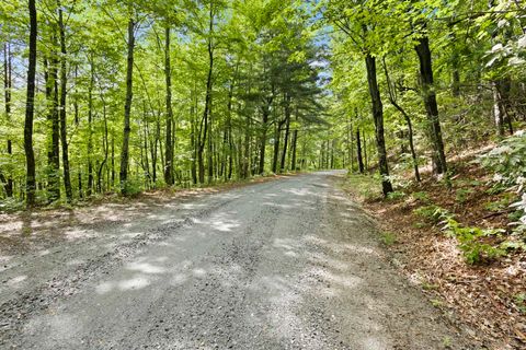 Vacant Land For Sale - 430 Lakeview Drive<br/> Saluda, NC 28773