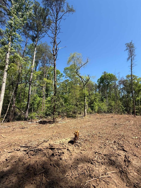 Vacant Land For Sale - Thompson Road<br/> Greer, SC 29651