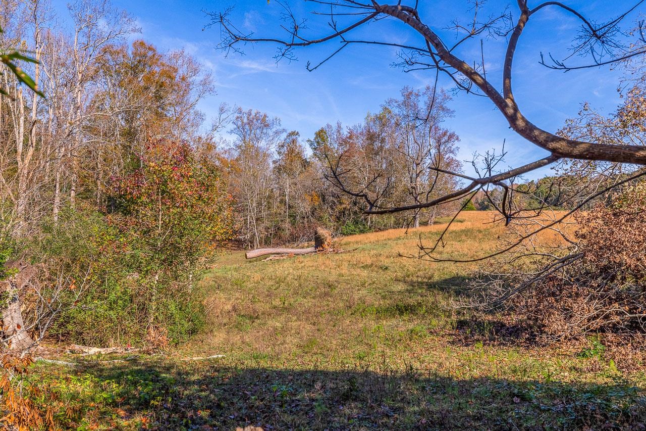 444 Jameswood Court, Greer, South Carolina image 50