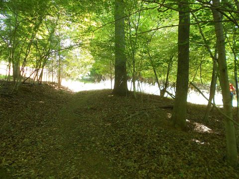 Vacant Land For Sale - LOT 1516 Cypress Road<br/> Clover, SC 29710