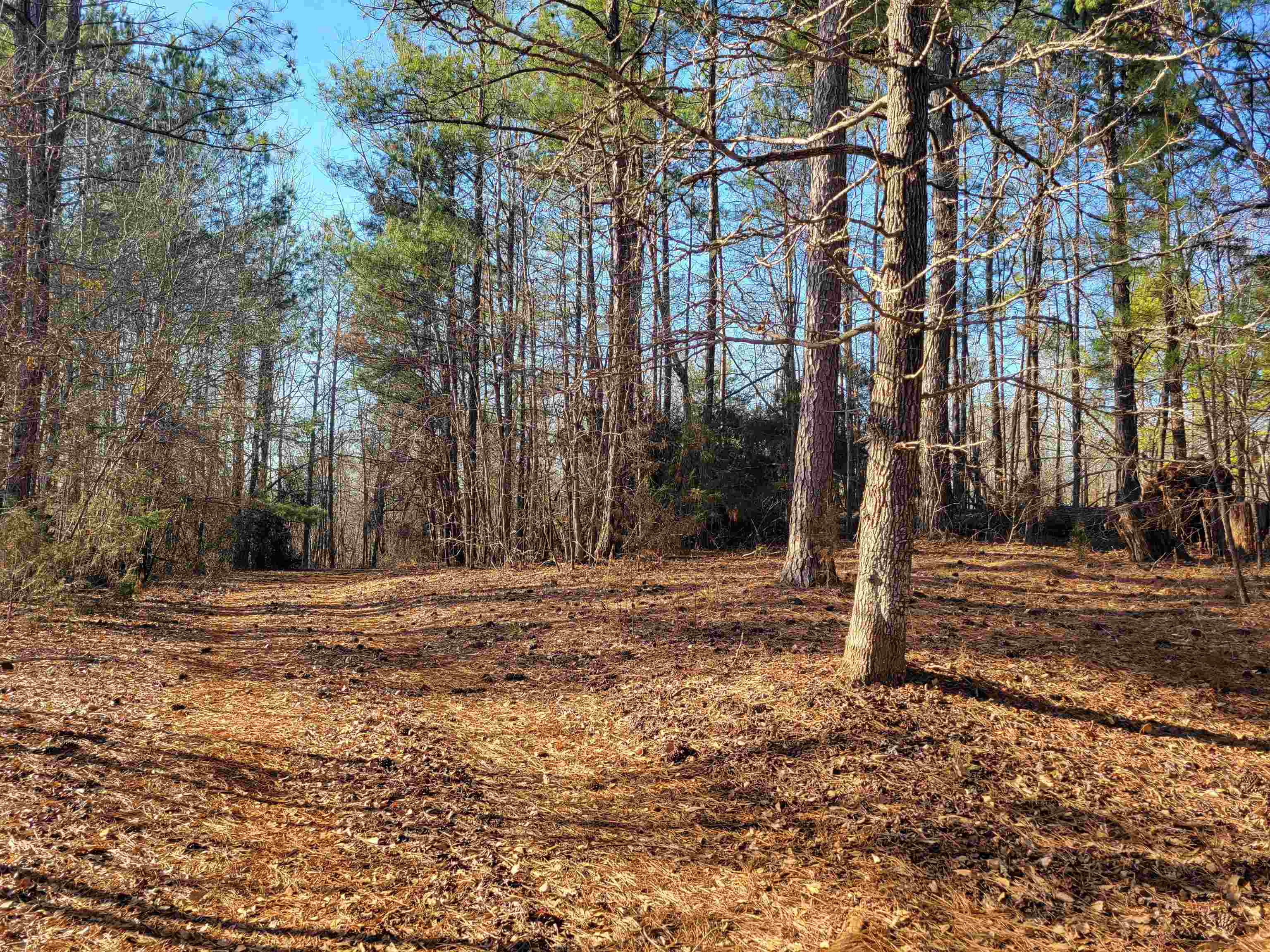 4 Westmoreland Road, Woodruff, South Carolina image 2