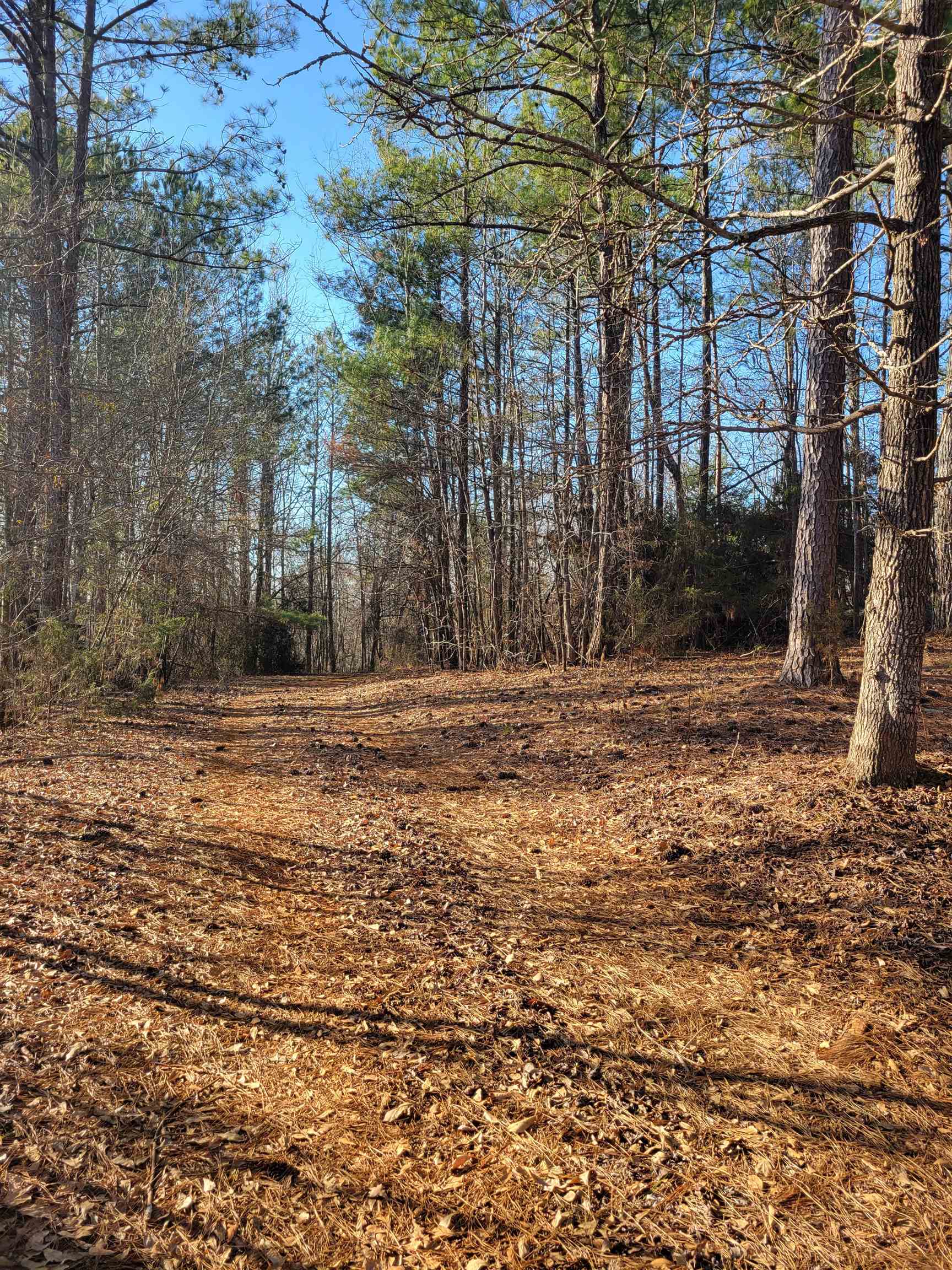 4 Westmoreland Road, Woodruff, South Carolina image 1