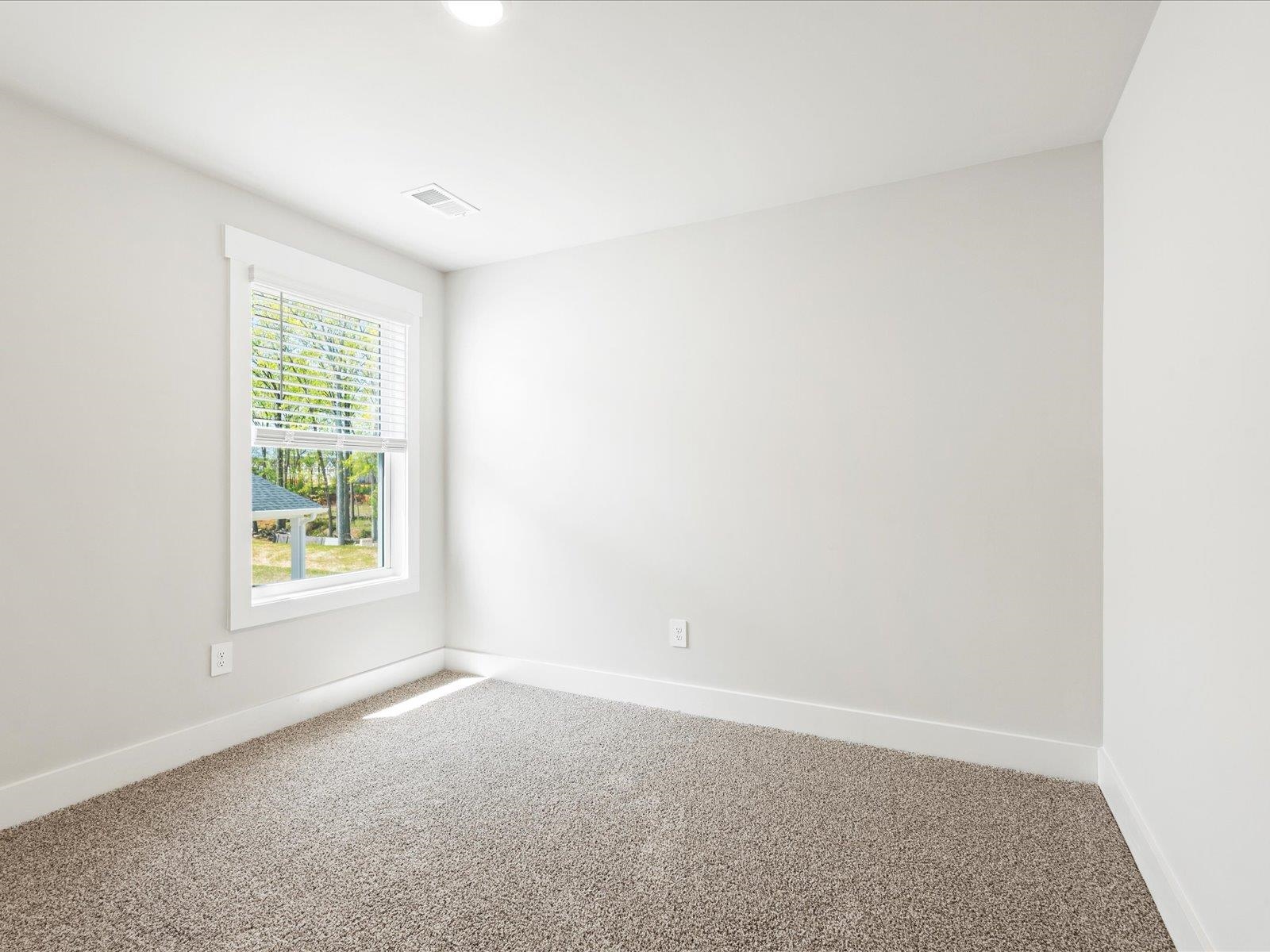 106 Veracruz Court, Greenville, South Carolina image 31