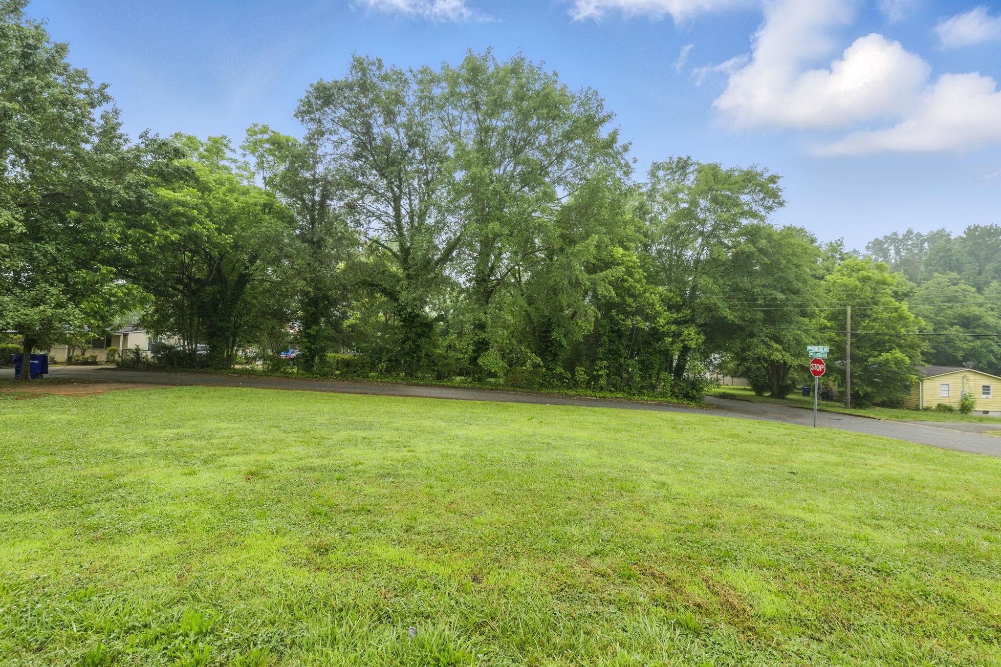Tennessee Avenue, Spartanburg, New York image 12