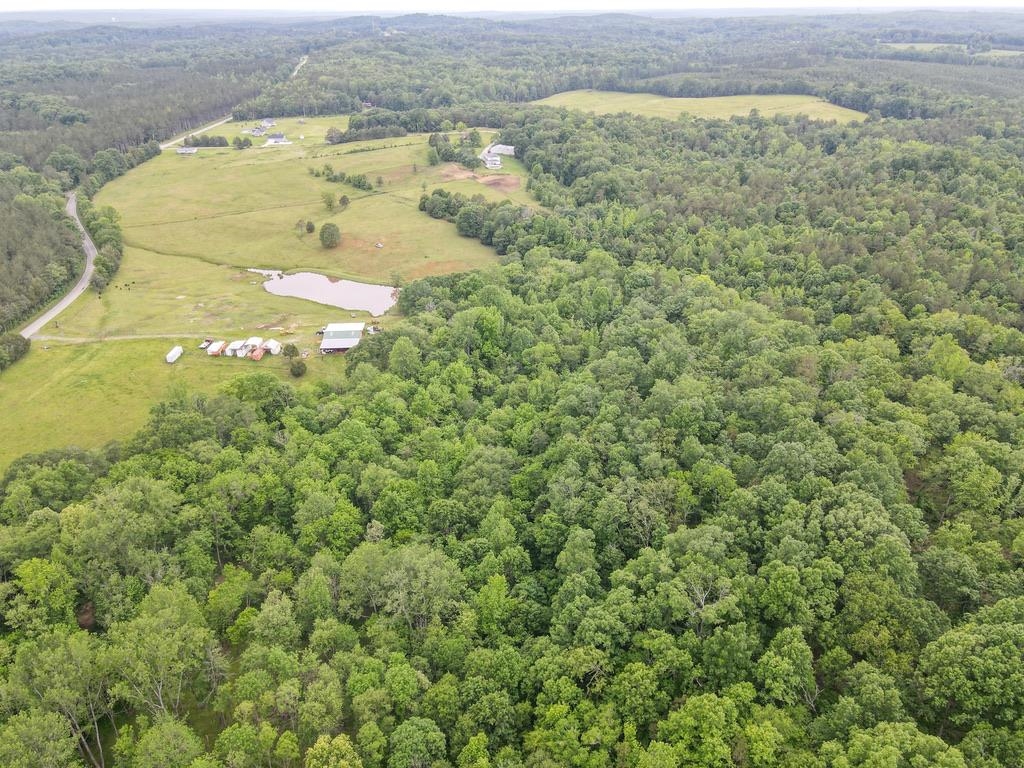 150 Ponder Road, Buffalo, South Carolina image 24