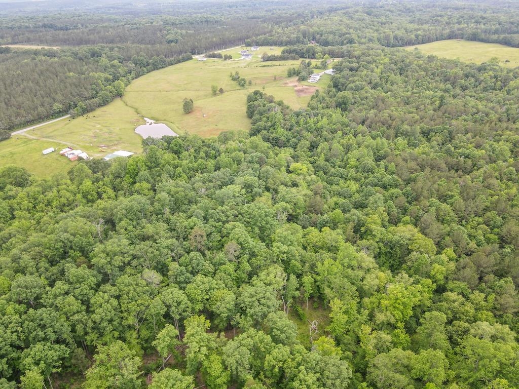 150 Ponder Road, Buffalo, South Carolina image 29