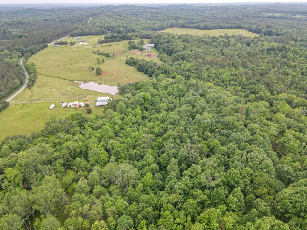 150 Ponder Road, Buffalo, South Carolina image 26