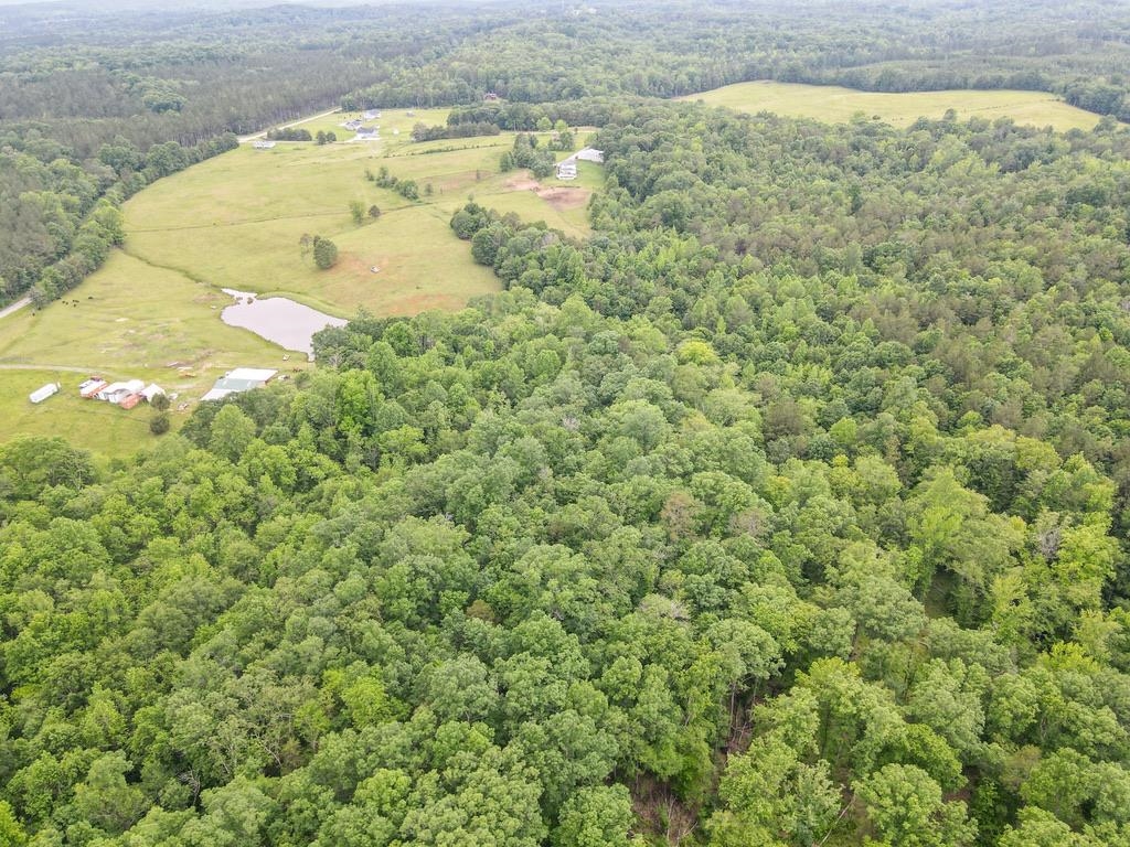 150 Ponder Road, Buffalo, South Carolina image 28