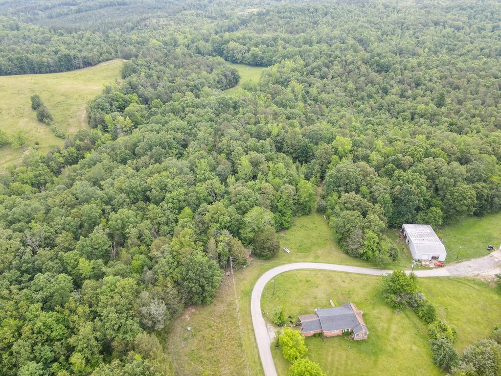 150 Ponder Road, Buffalo, South Carolina image 14