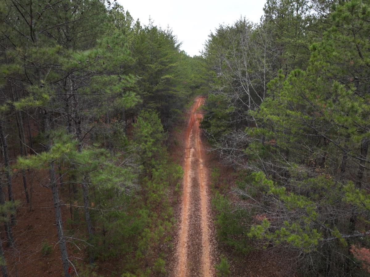 00 Ridge Road, Enoree, South Carolina image 11