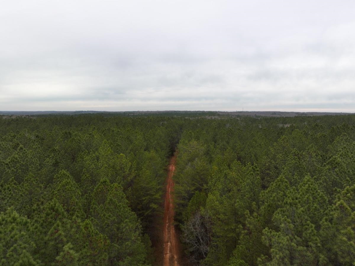00 Ridge Road, Enoree, South Carolina image 2