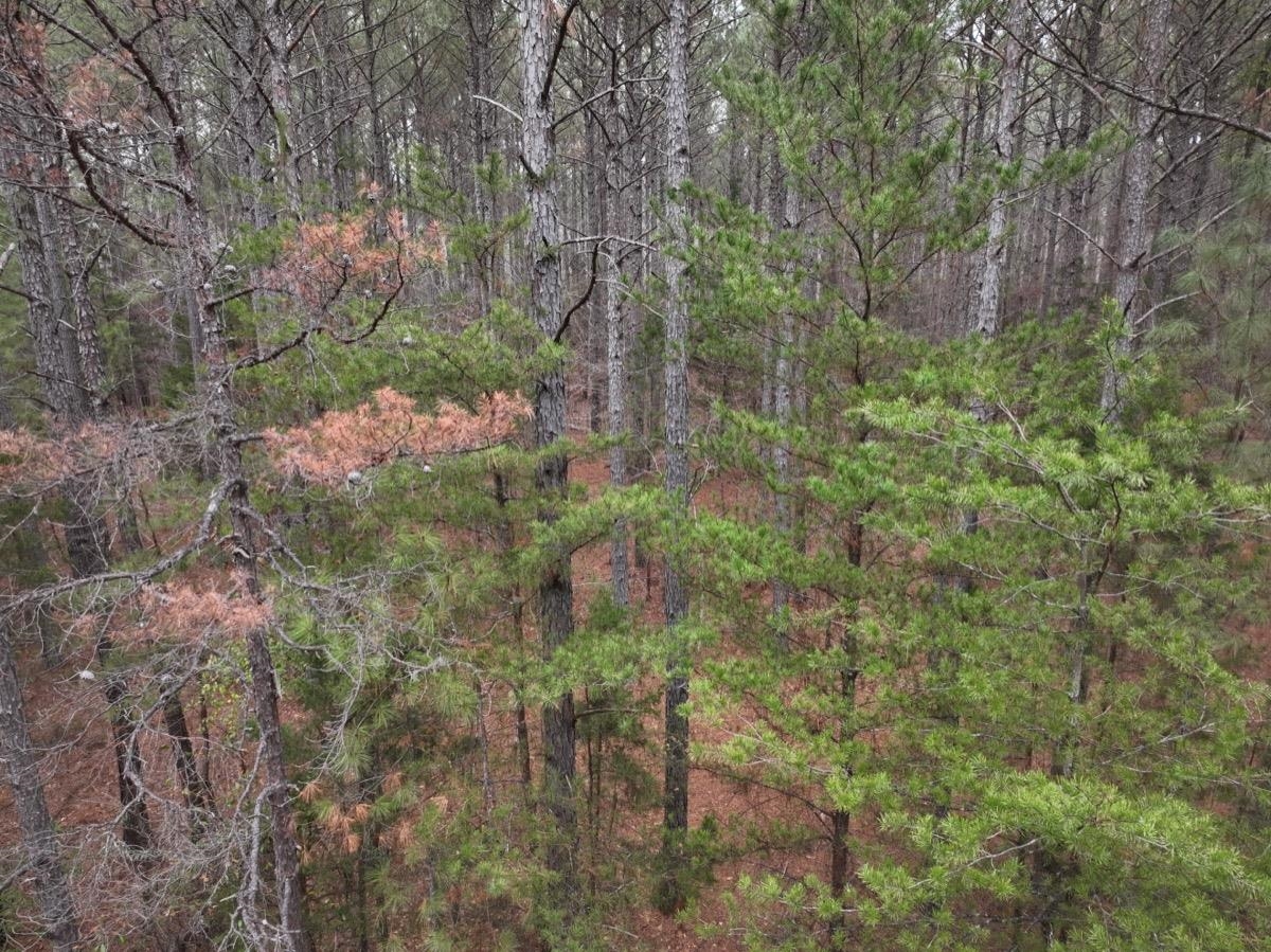 00 Ridge Road, Enoree, South Carolina image 13