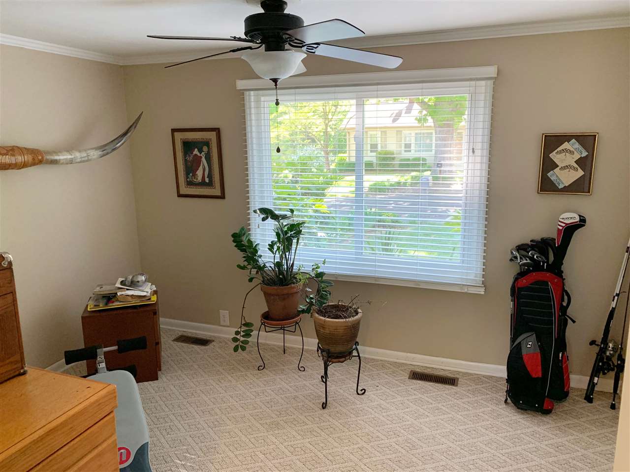 107 S Poplar Ave Ave, Landrum, South Carolina image 21