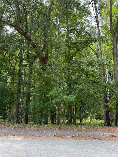 Vacant Land For Sale - 340 Valley View Drive<br/> Woodruff, SC 29388