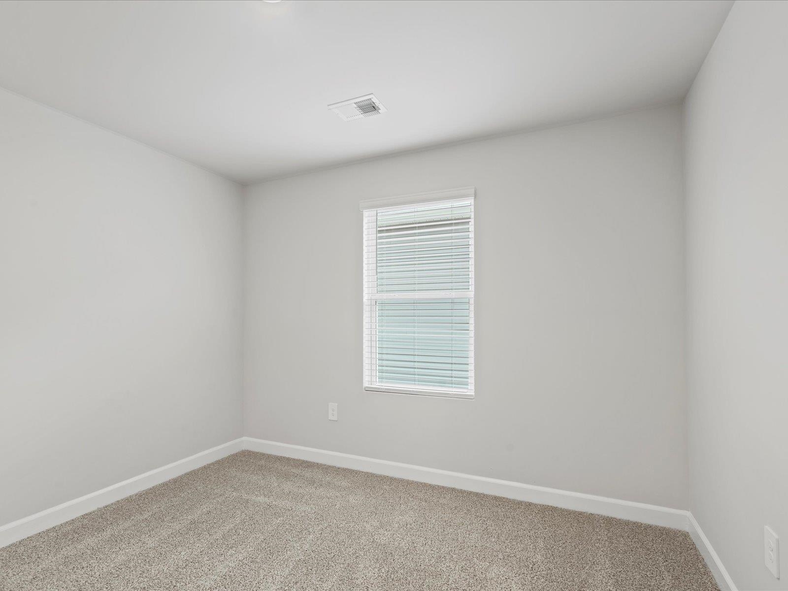 706 Whitebark Drive, Pendleton, South Carolina image 14