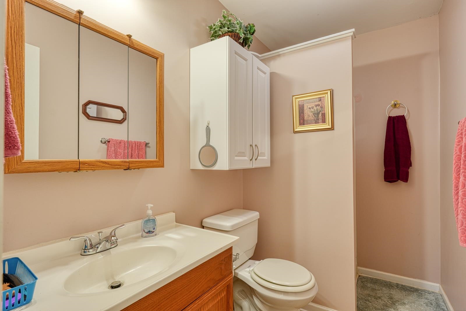 4 Jonquil Lane, Greenville, South Carolina image 37