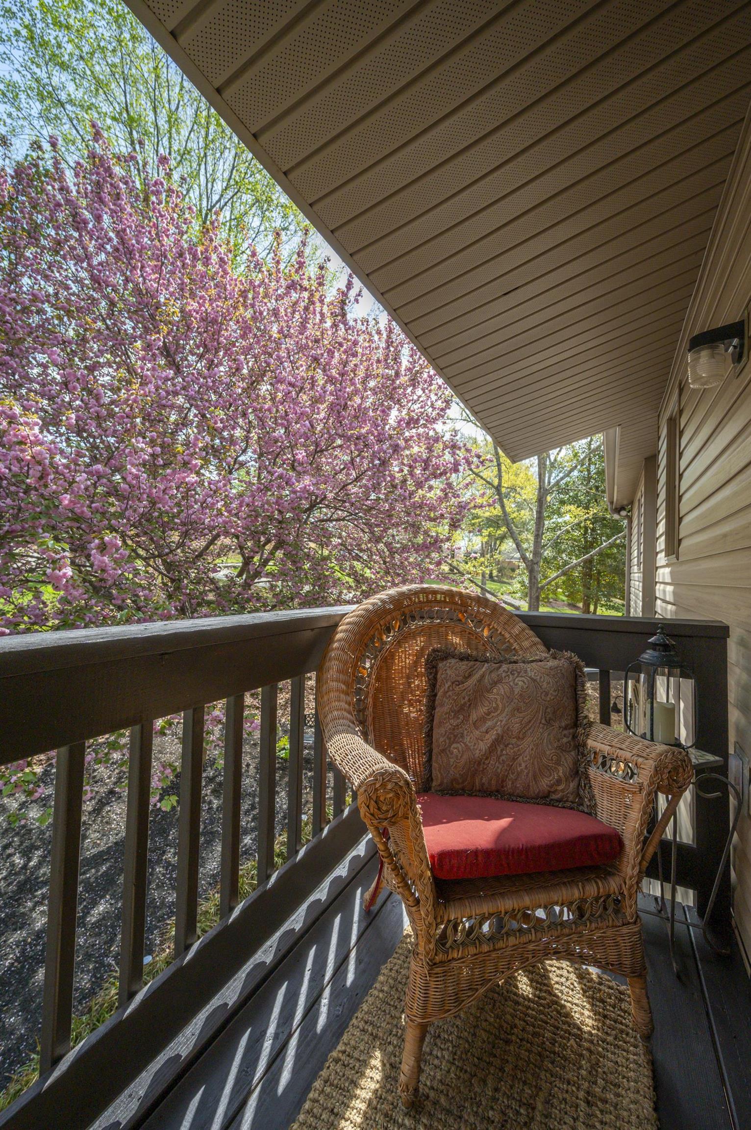 118 Bridge View Road, Chesnee, South Carolina image 21