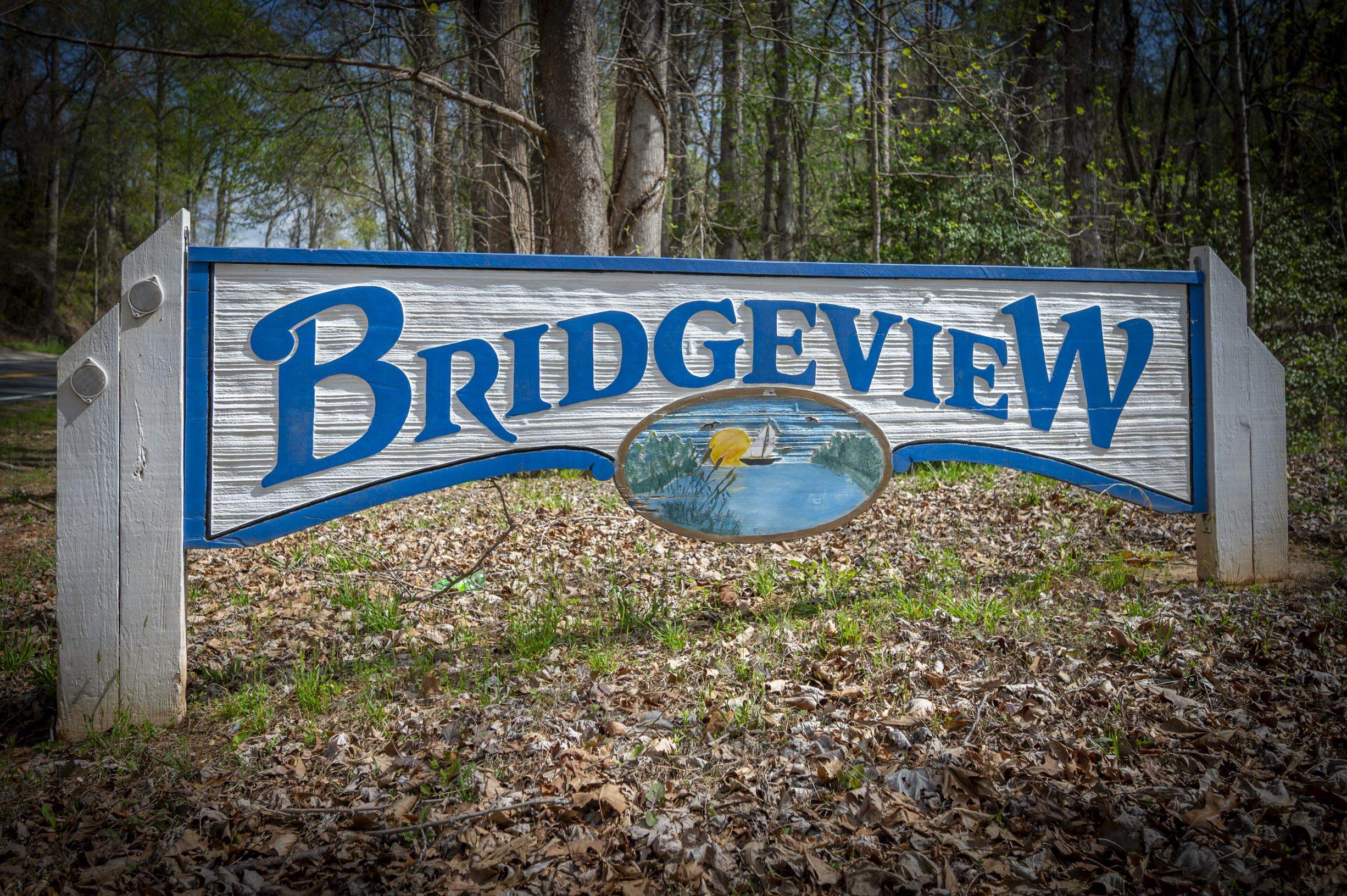 118 Bridge View Road, Chesnee, South Carolina image 47