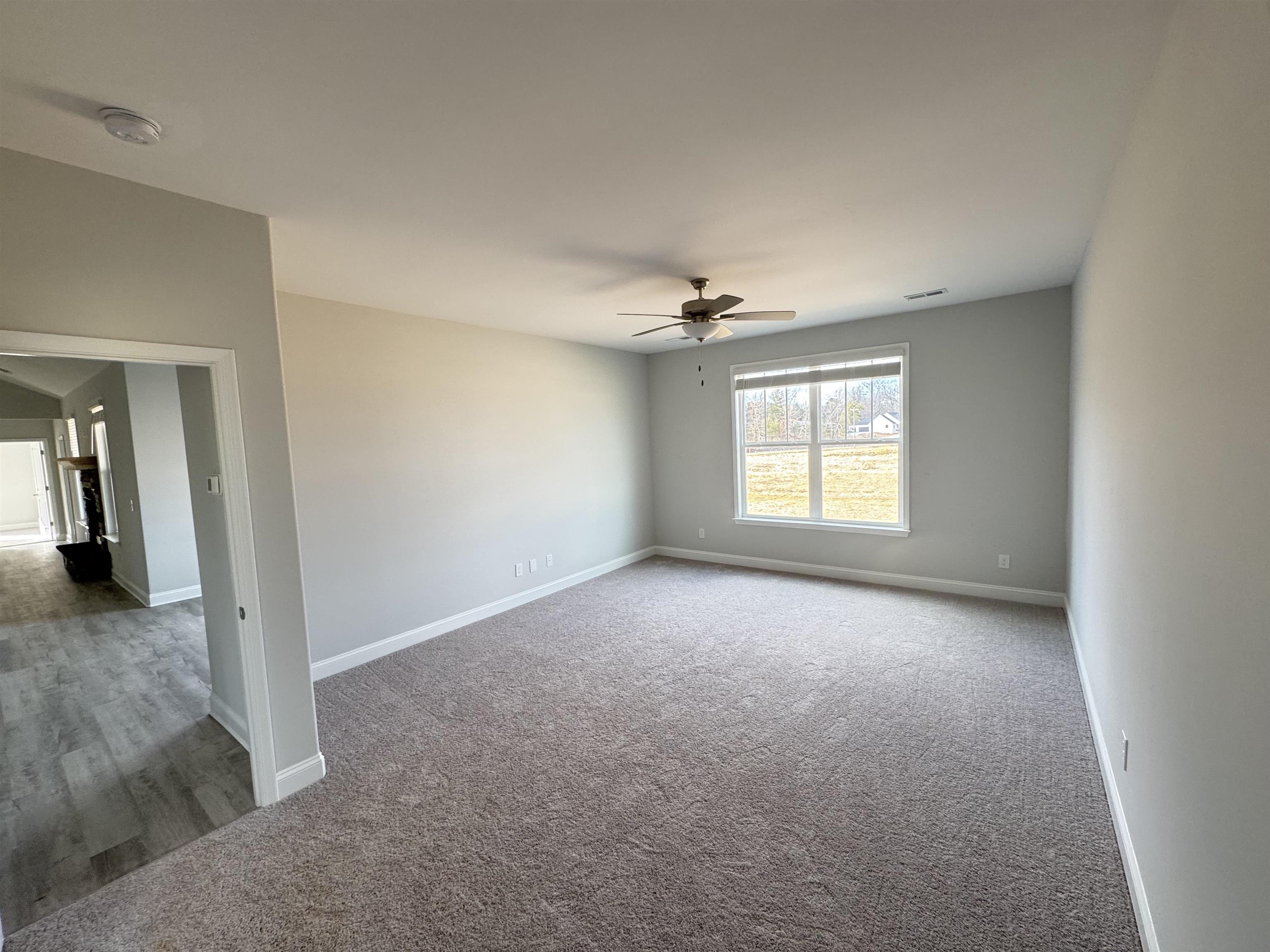 1013 Alder Pond Drive, Campobello, South Carolina image 6