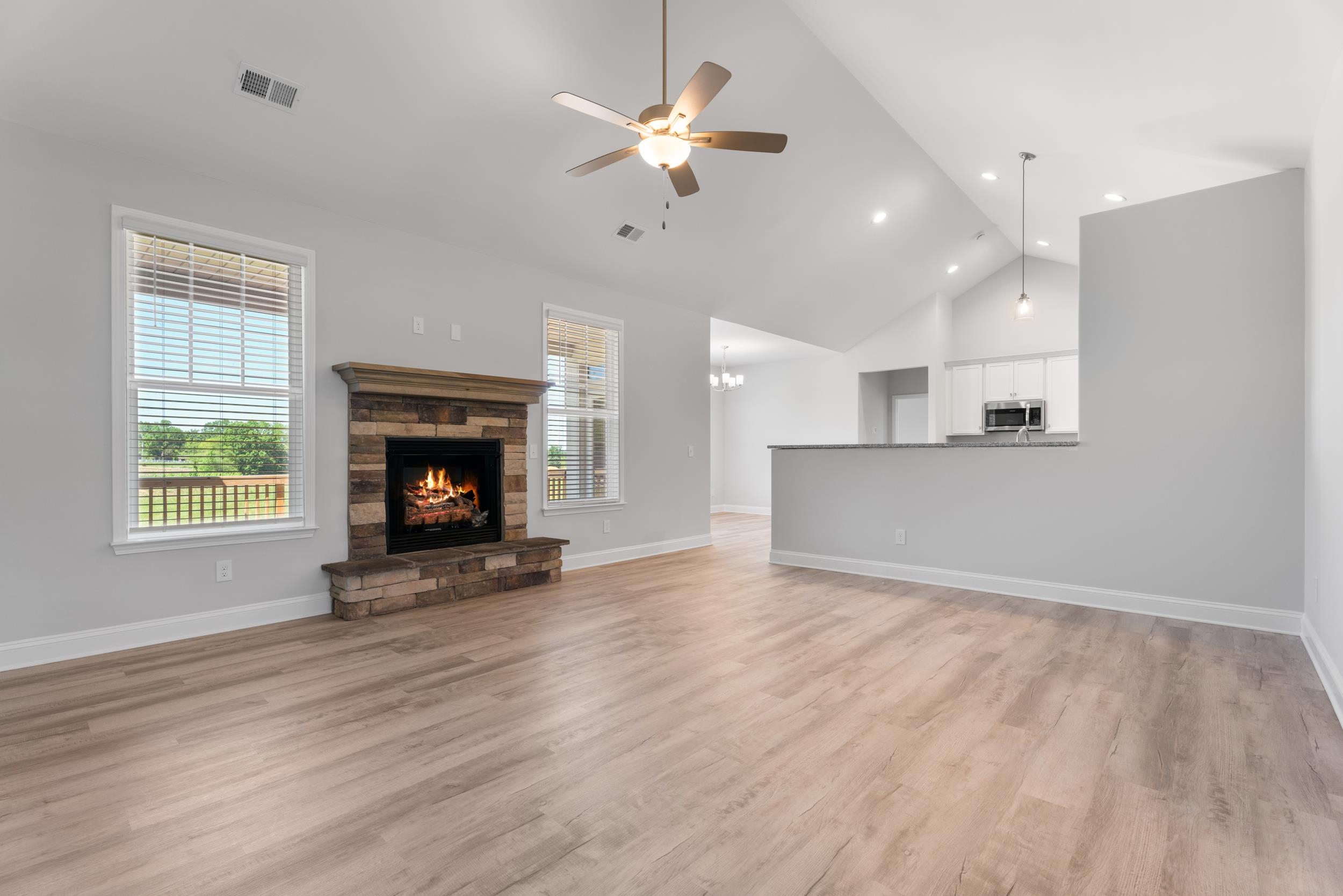 1013 Alder Pond Drive, Campobello, South Carolina image 15