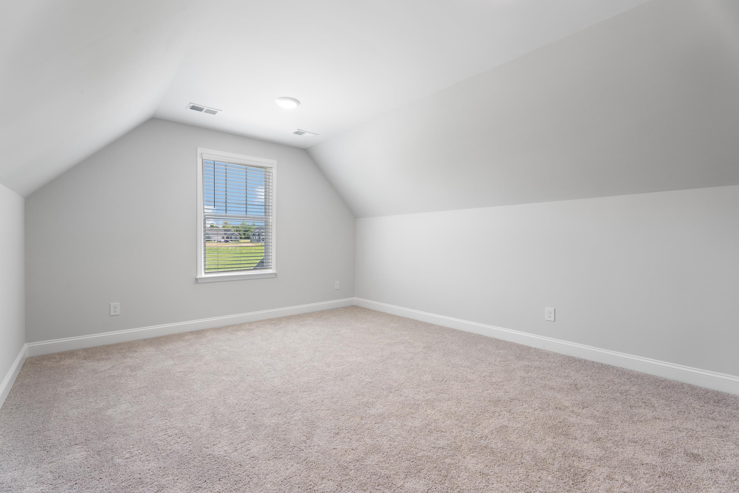 1013 Alder Pond Drive, Campobello, South Carolina image 31