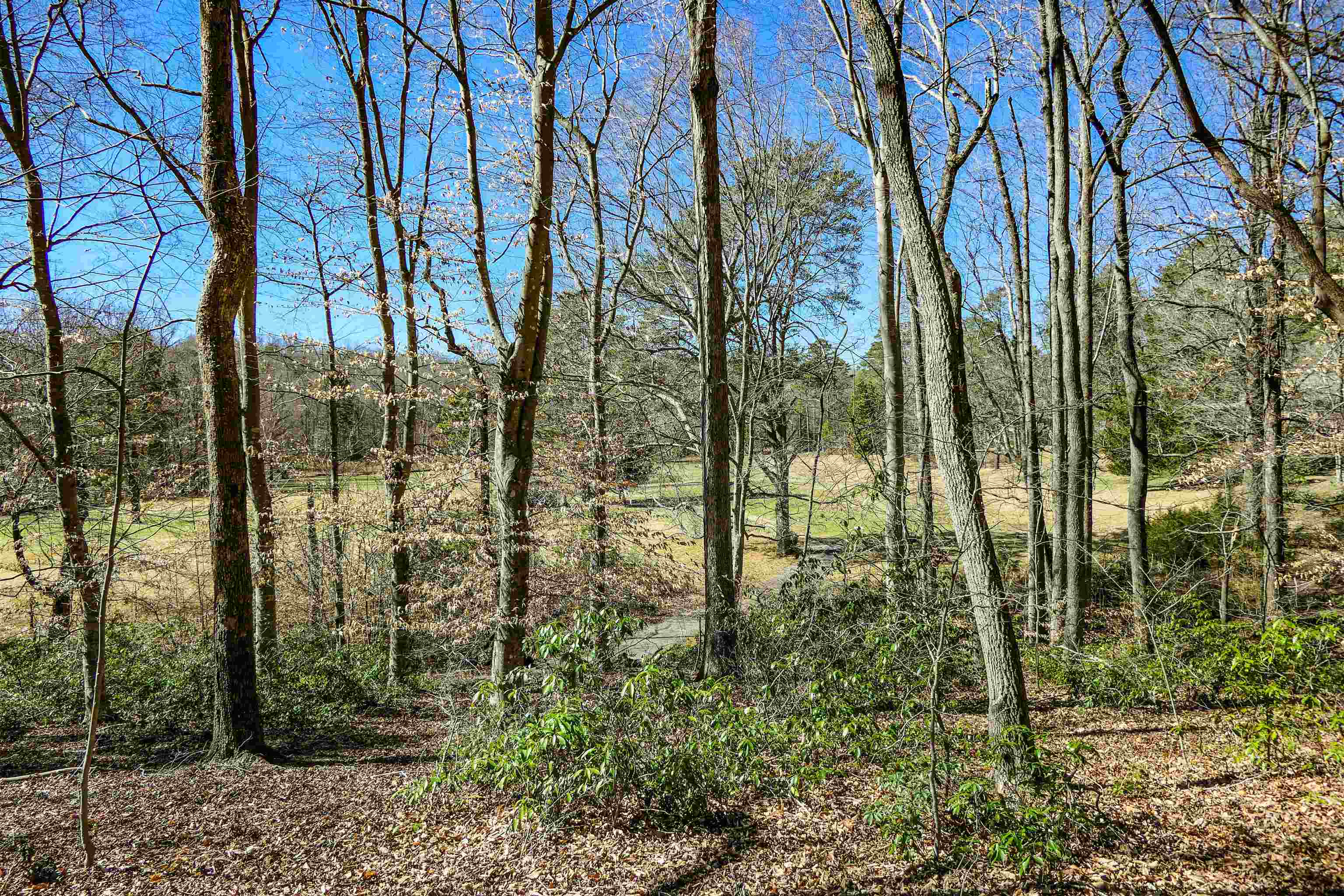 Club Road, Tryon, North Carolina image 11
