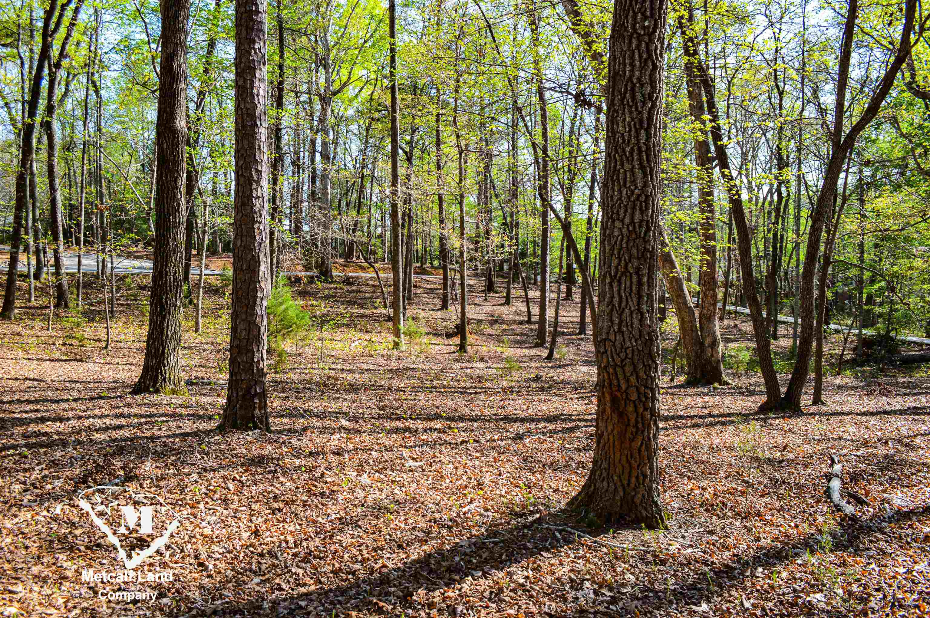 Club Road, Tryon, North Carolina image 13