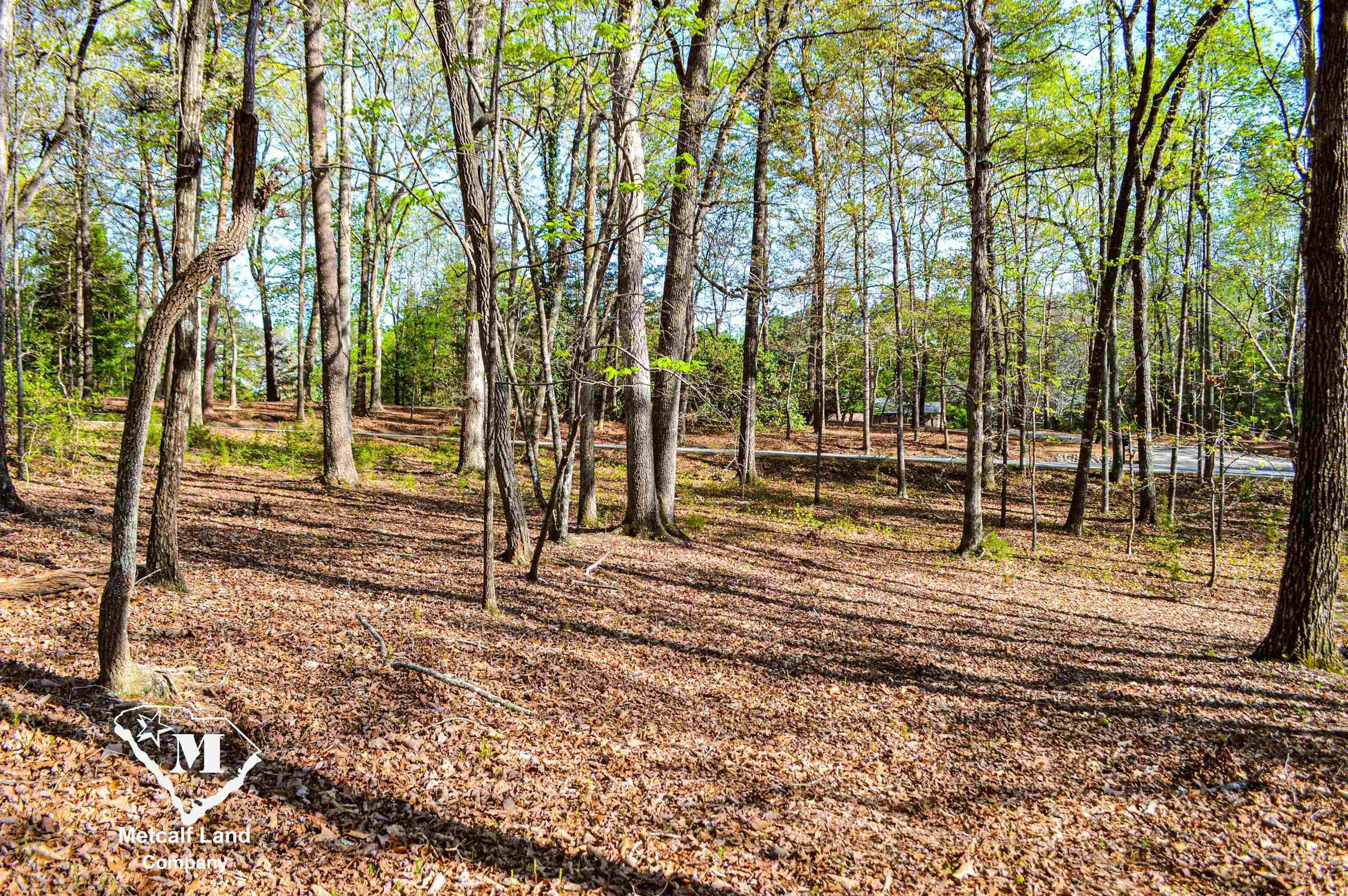 Club Road, Tryon, North Carolina image 14