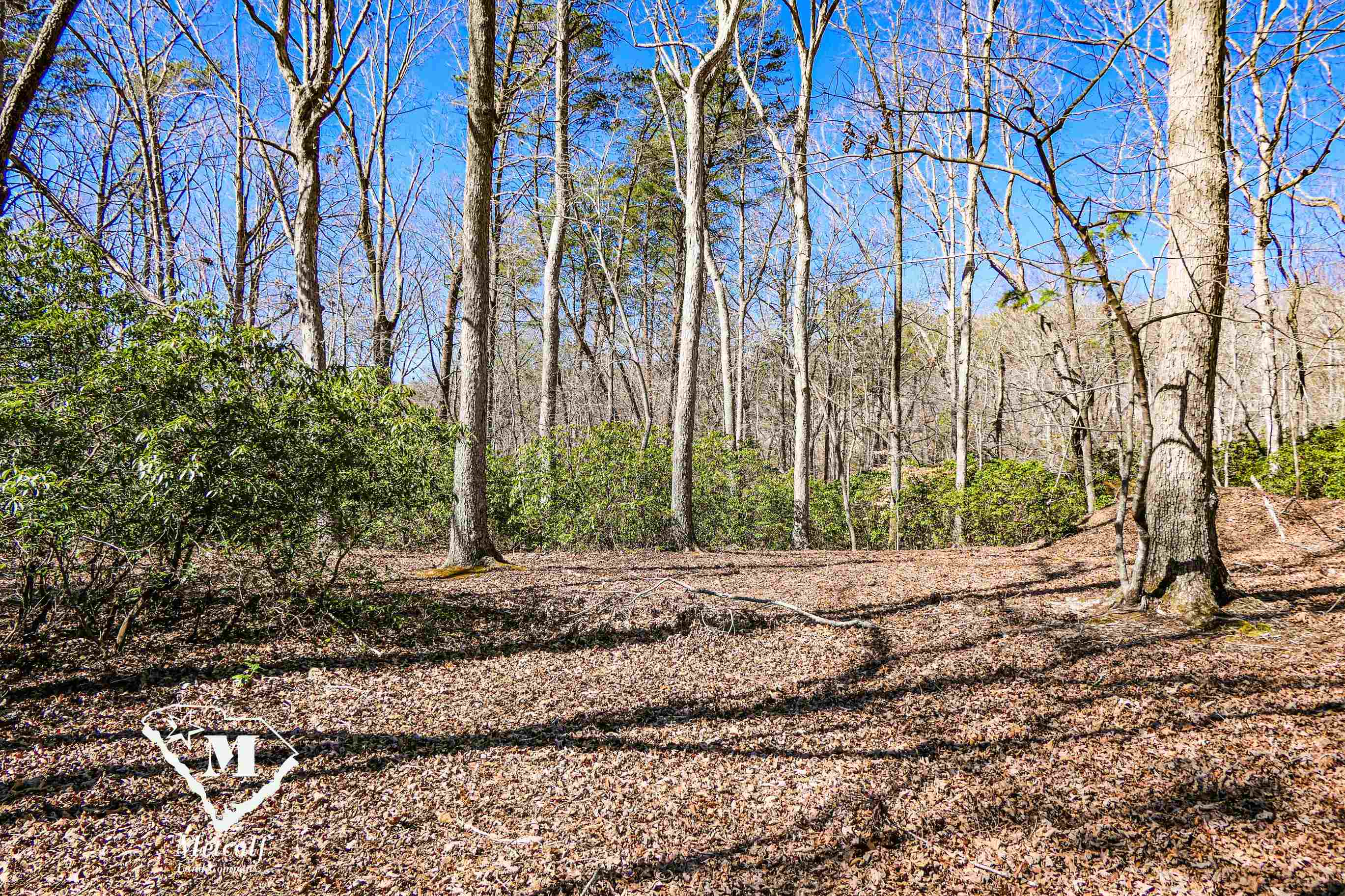 Club Road, Tryon, North Carolina image 1