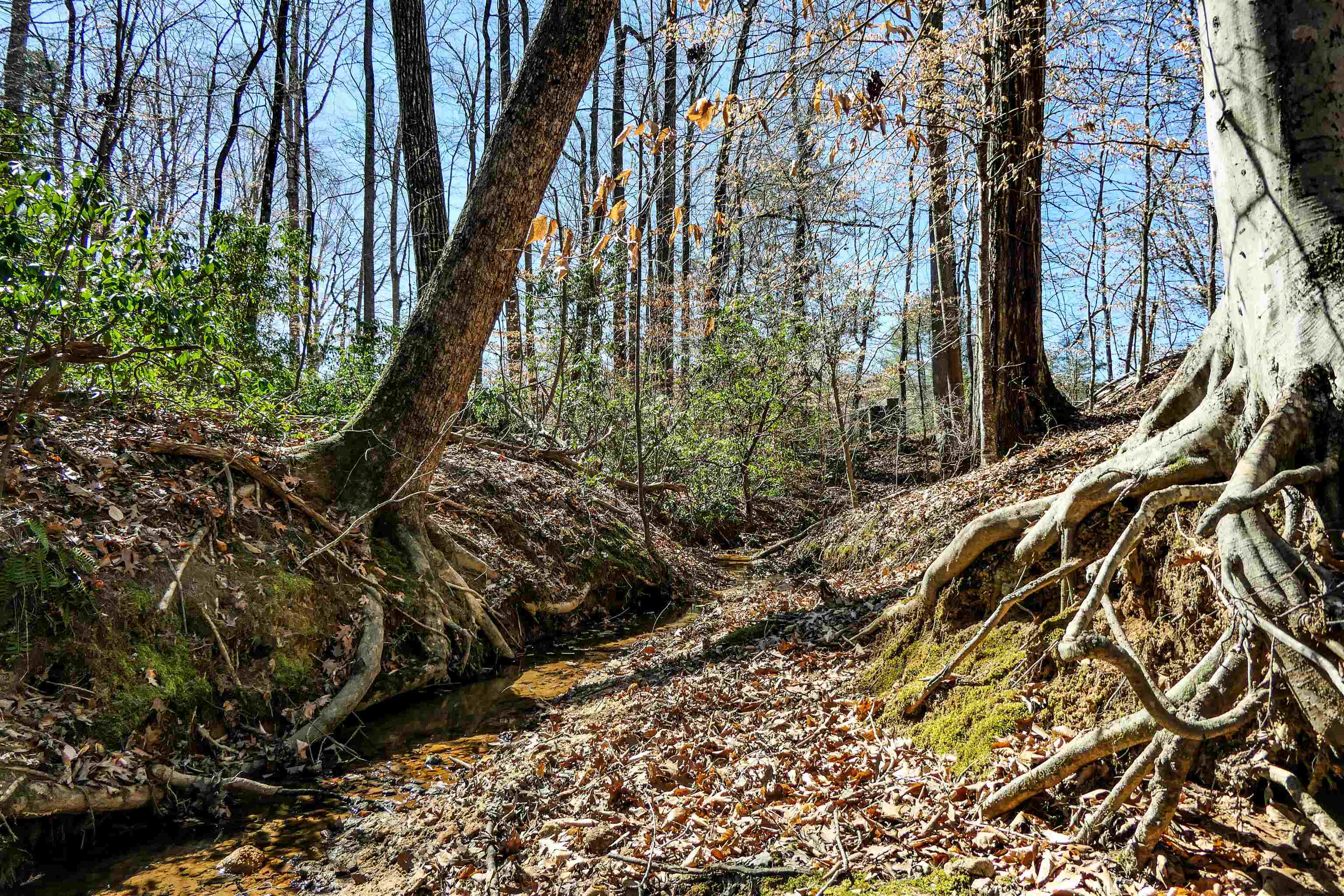 Club Road, Tryon, North Carolina image 9