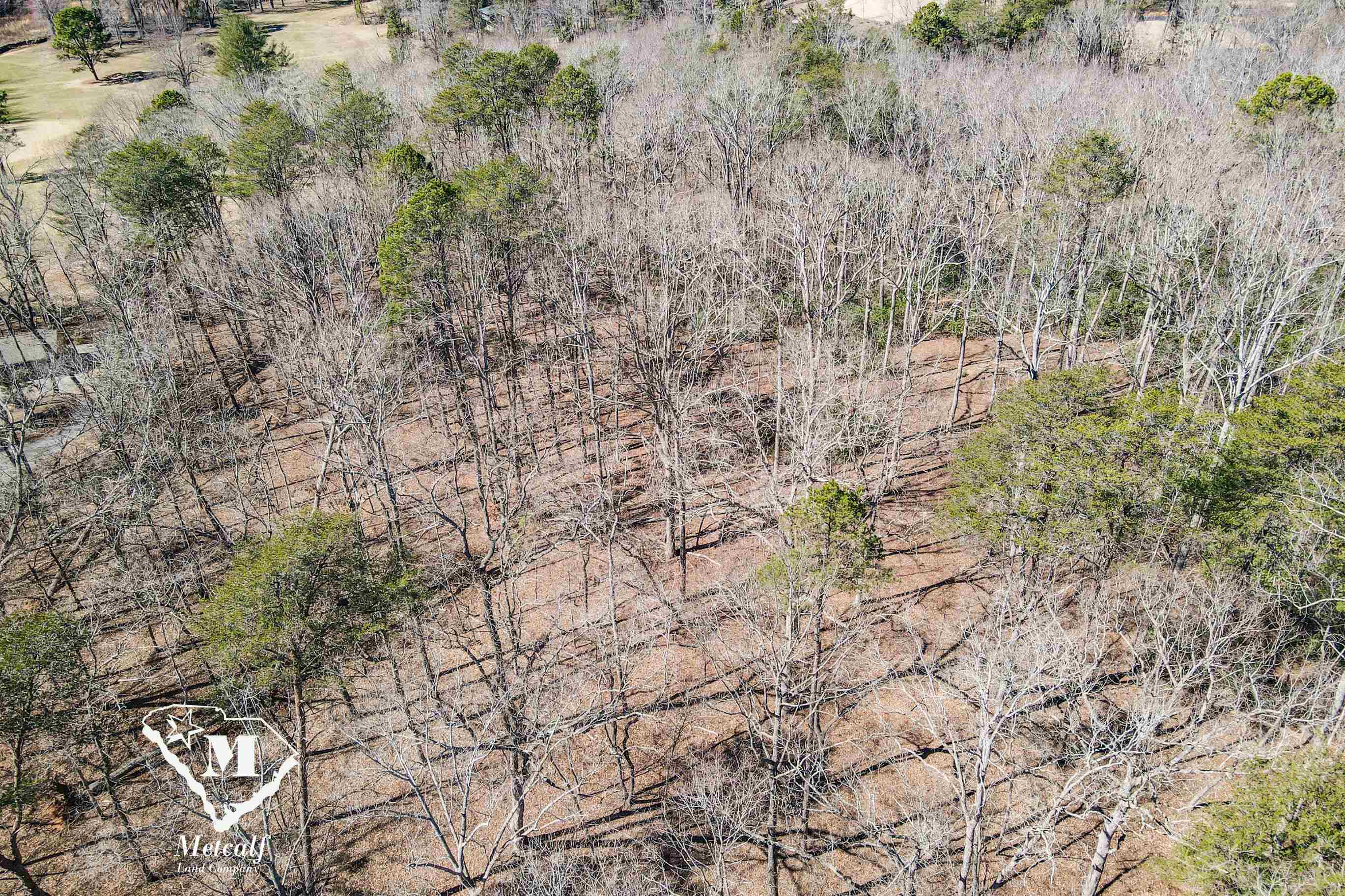 Club Road, Tryon, North Carolina image 10
