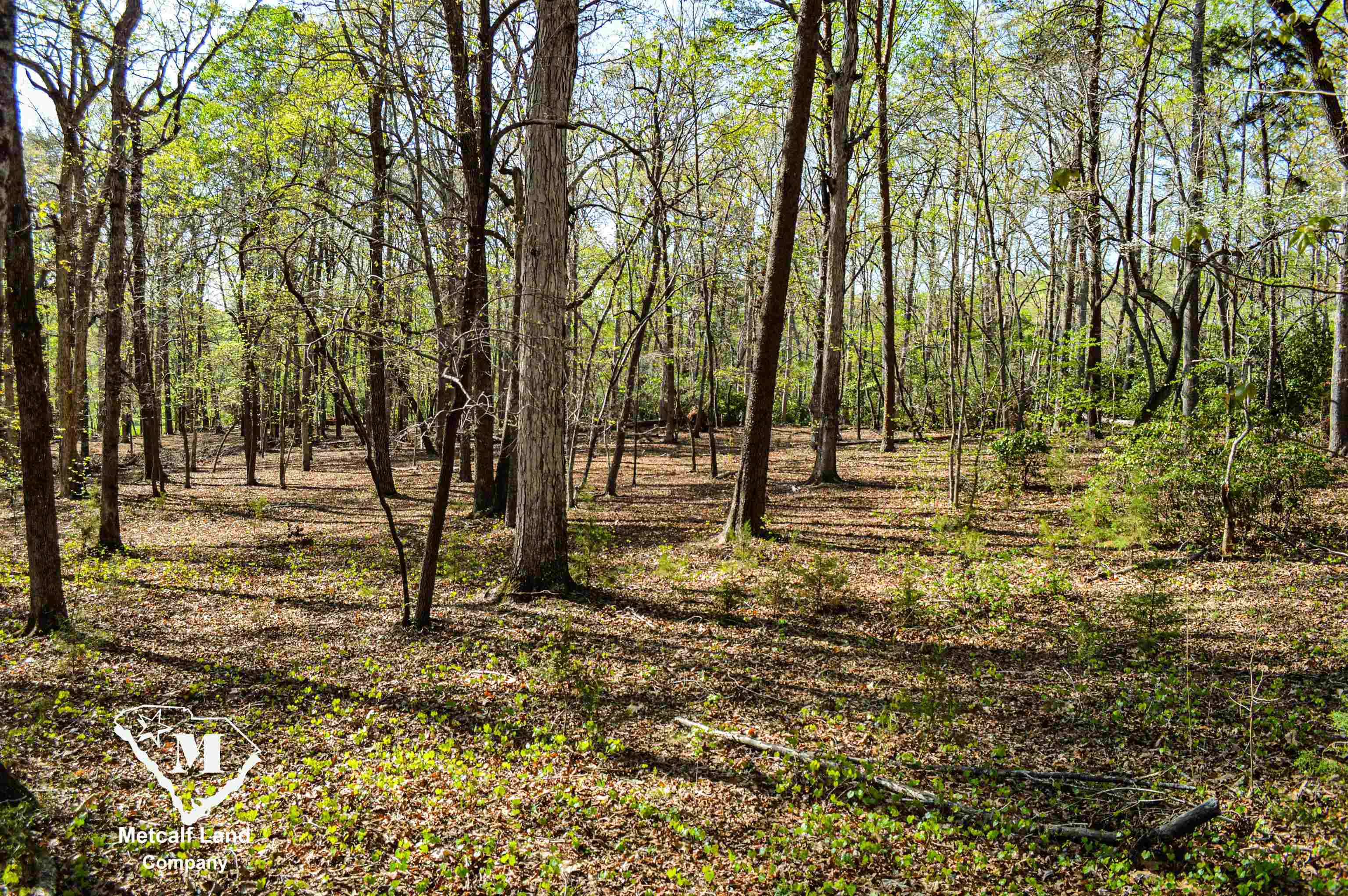 Club Road, Tryon, North Carolina image 5