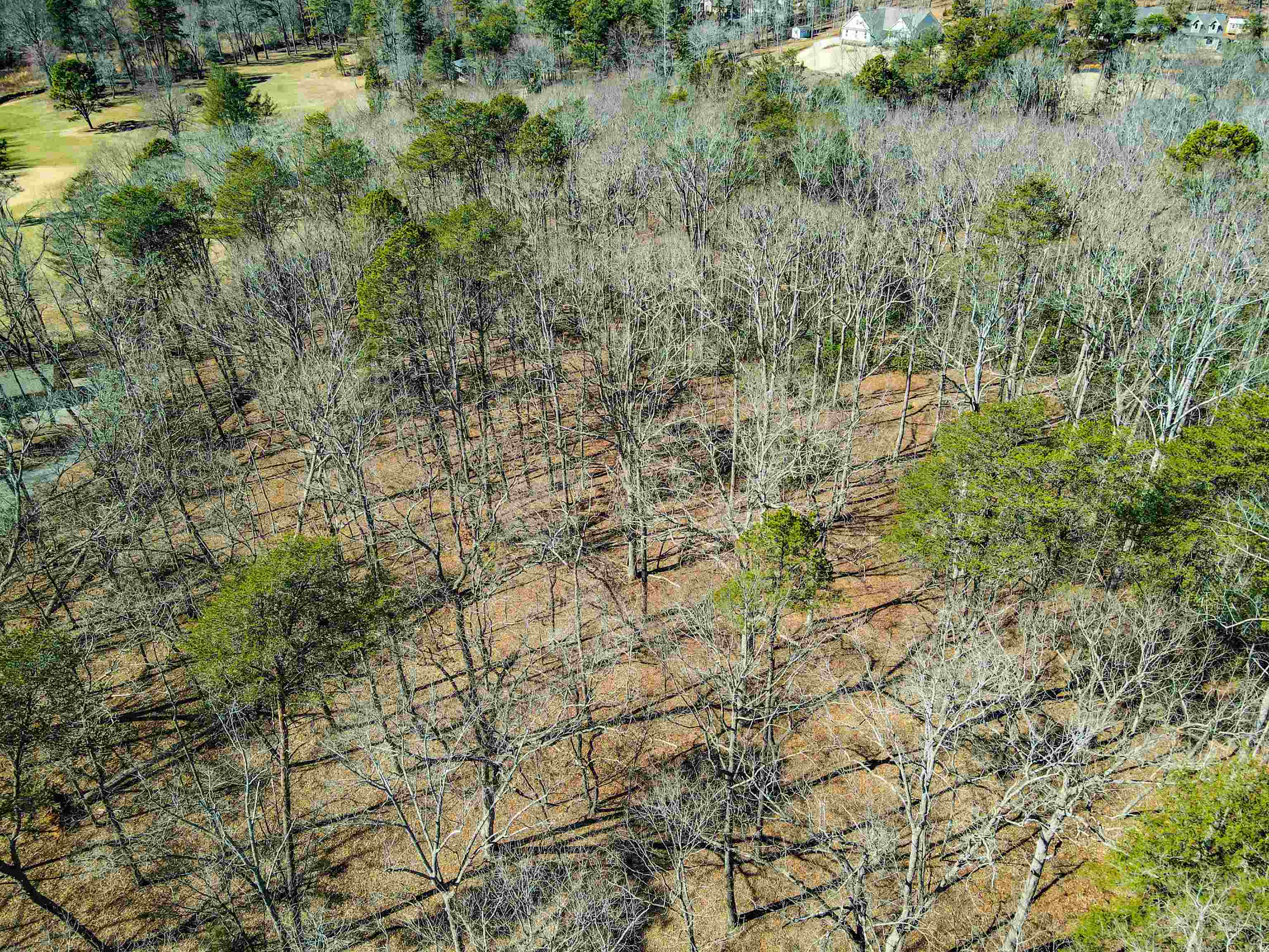 Club Road, Tryon, North Carolina image 13