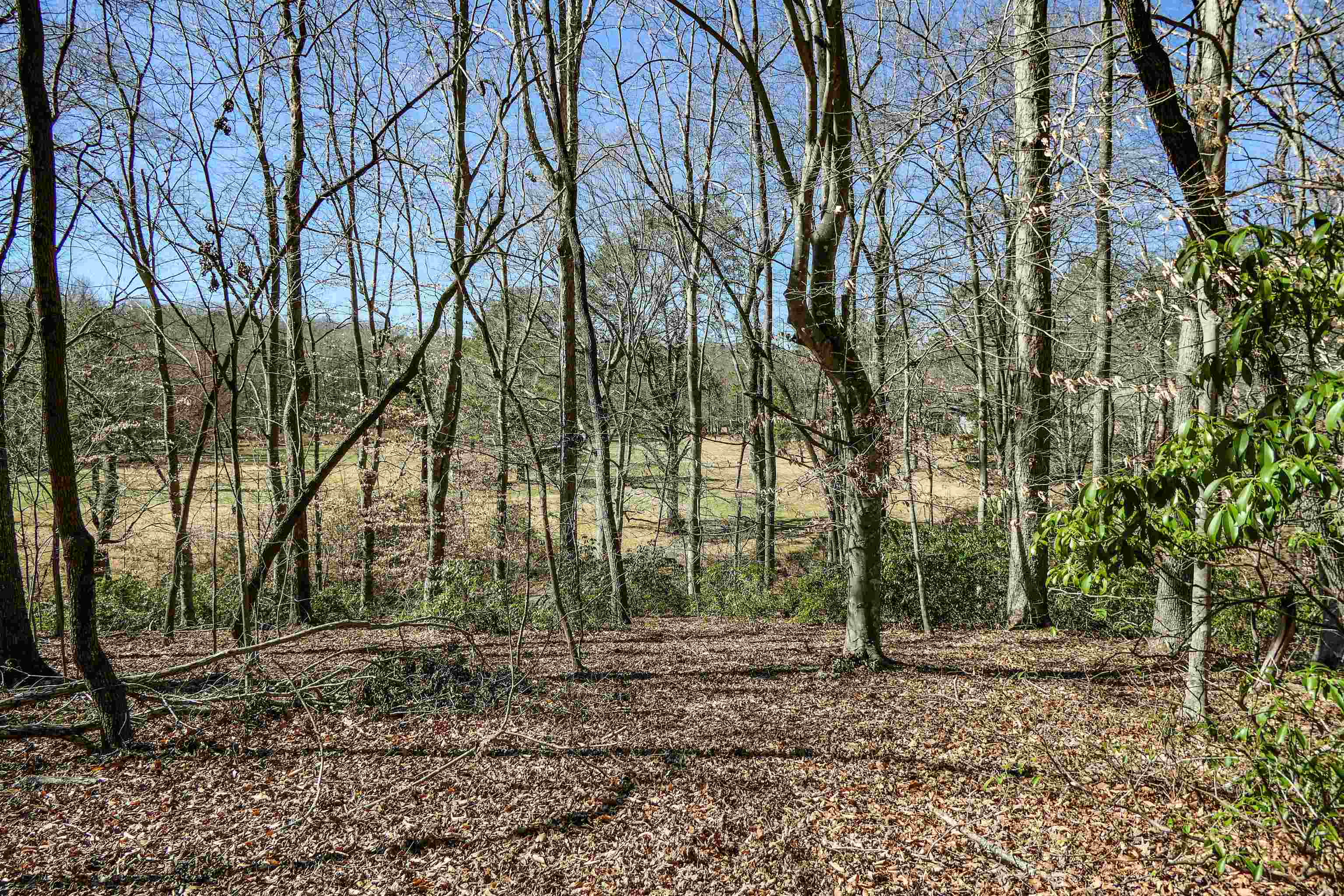 Club Road, Tryon, North Carolina image 10