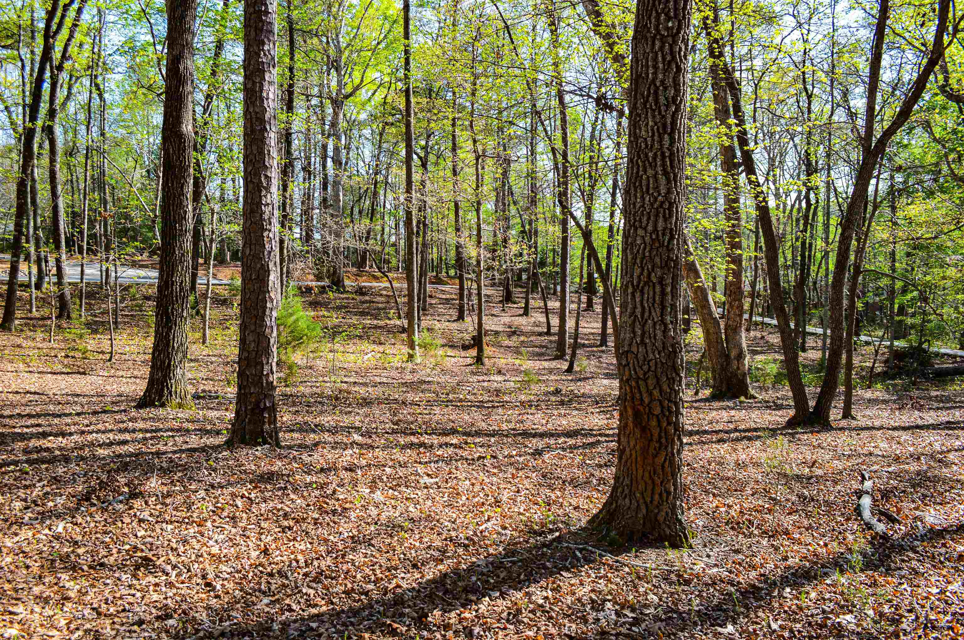Club Road, Tryon, North Carolina image 3