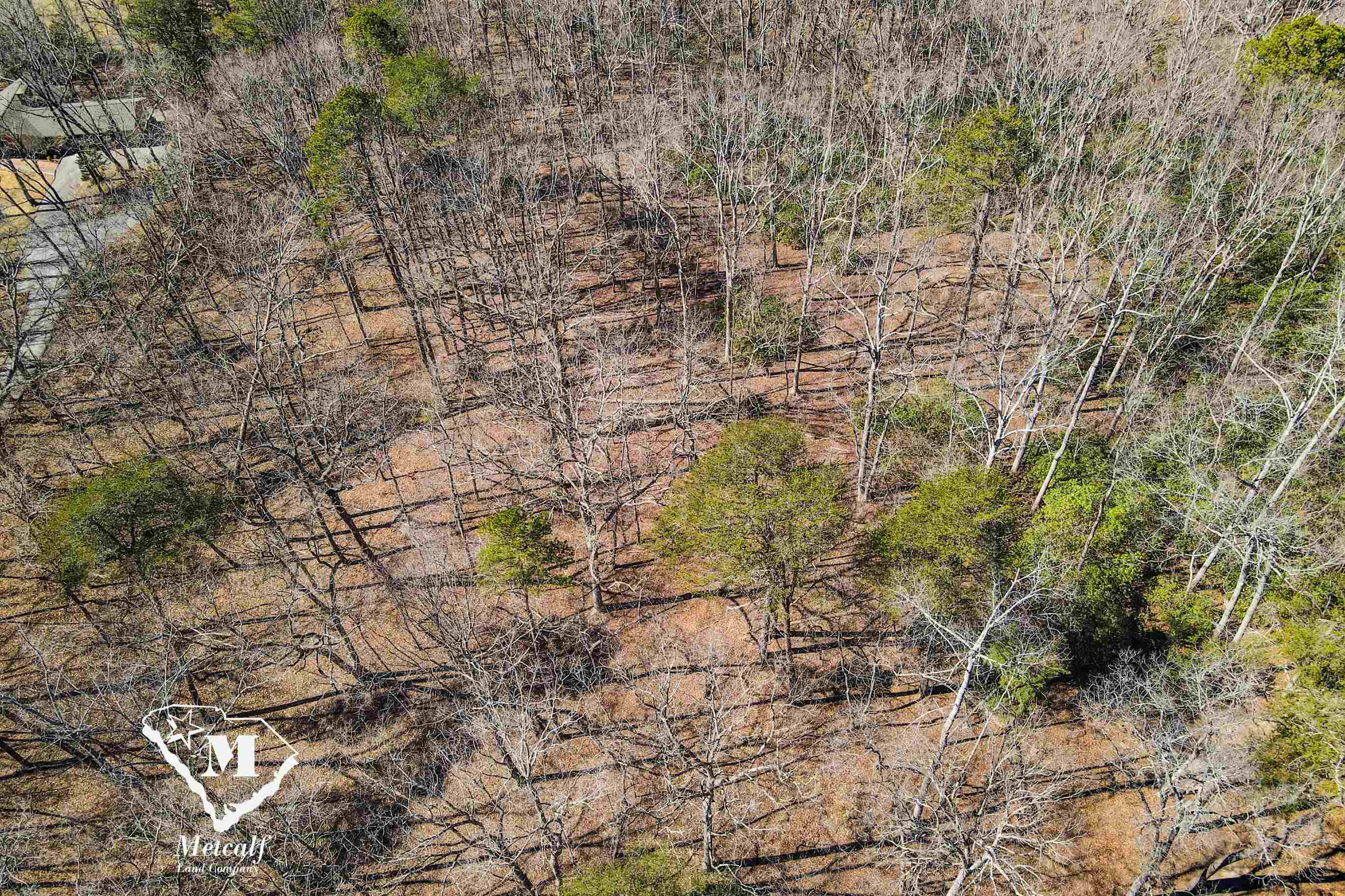 Club Road, Tryon, North Carolina image 12
