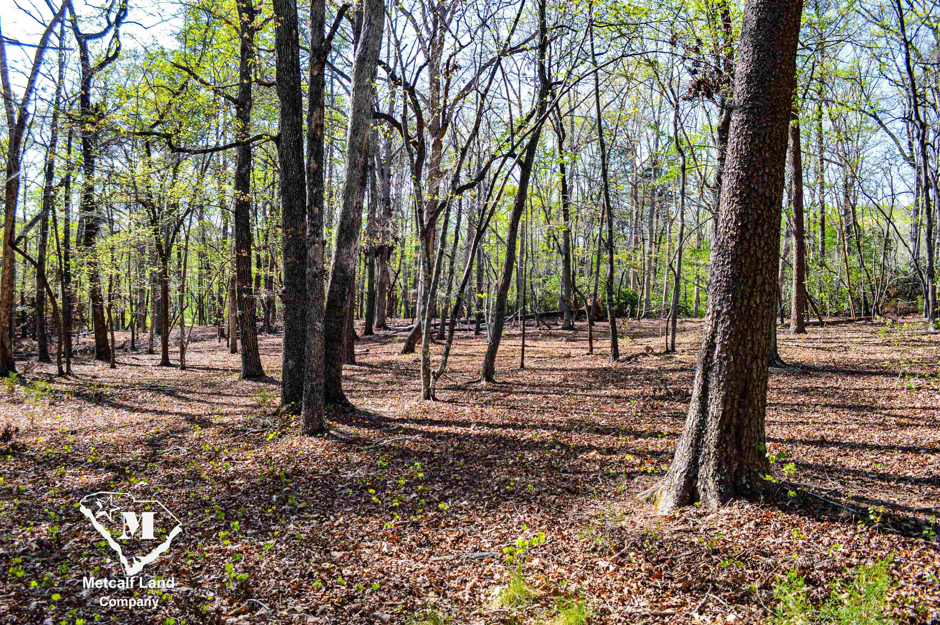 Club Road, Tryon, North Carolina image 7