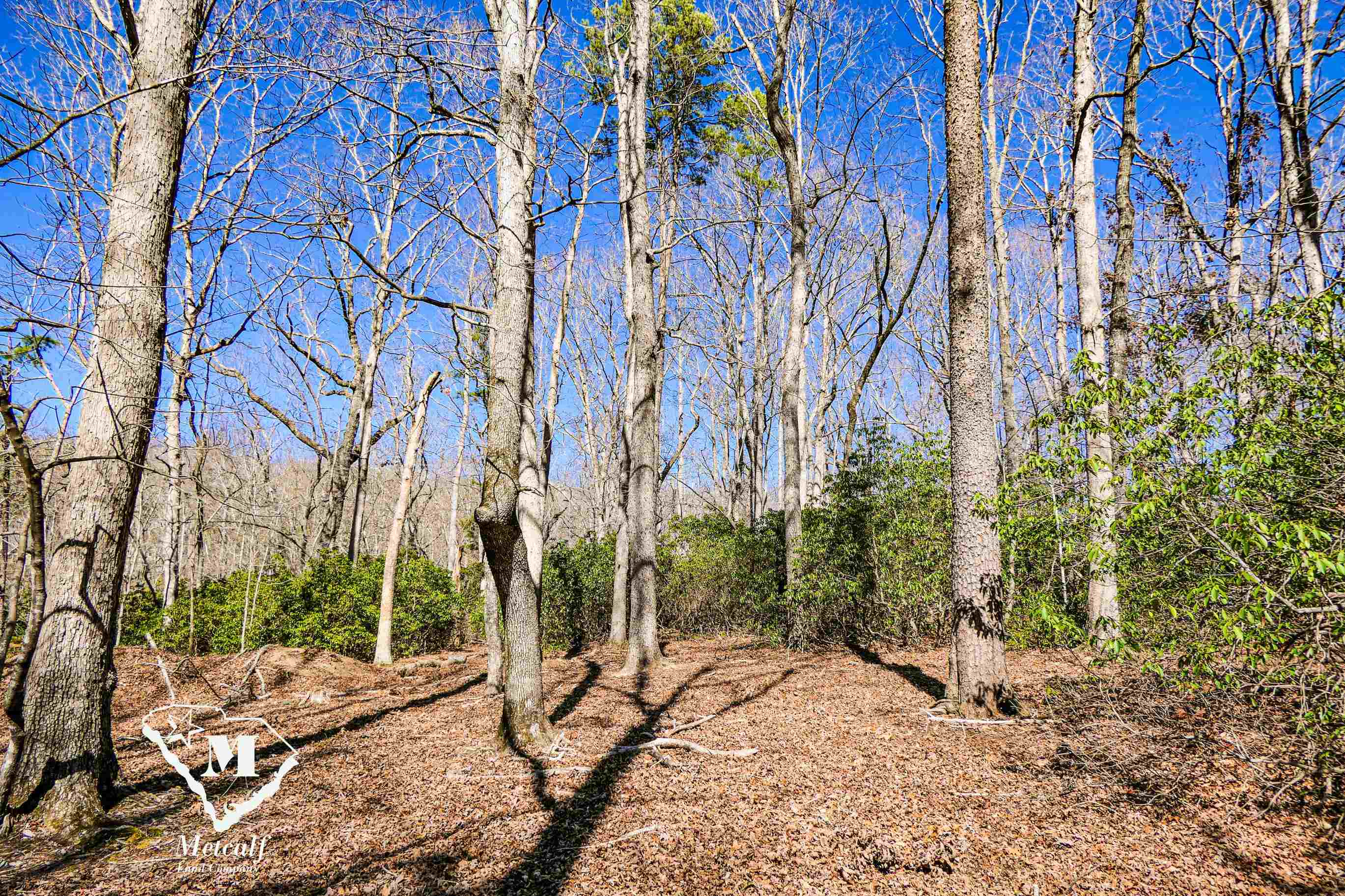 Club Road, Tryon, North Carolina image 2