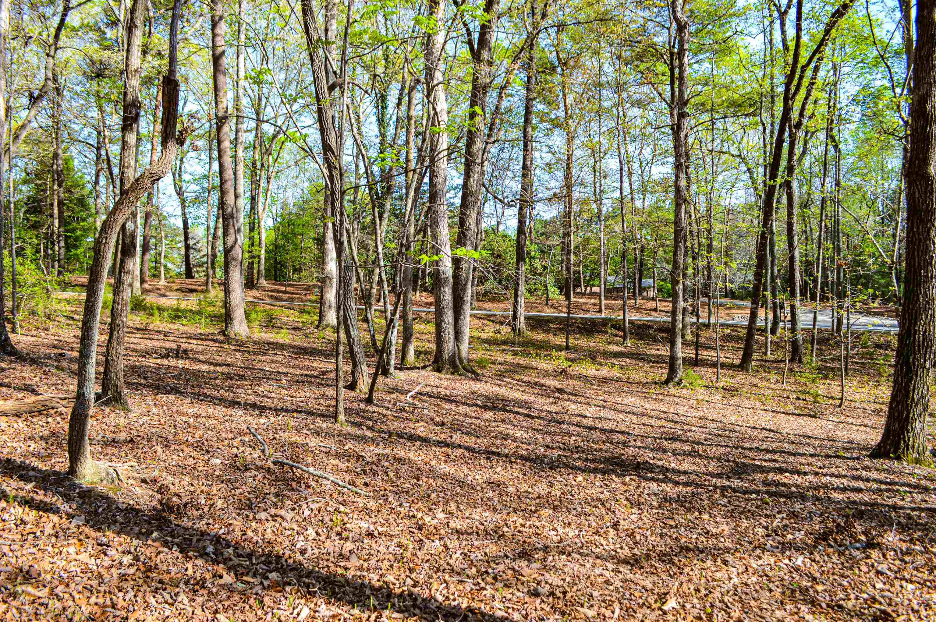 Club Road, Tryon, North Carolina image 5