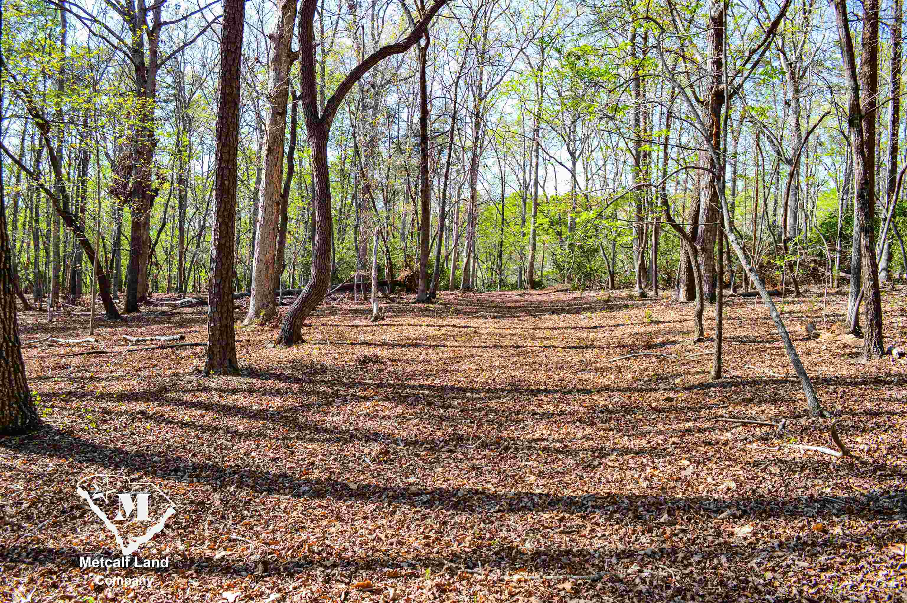 Club Road, Tryon, North Carolina image 1