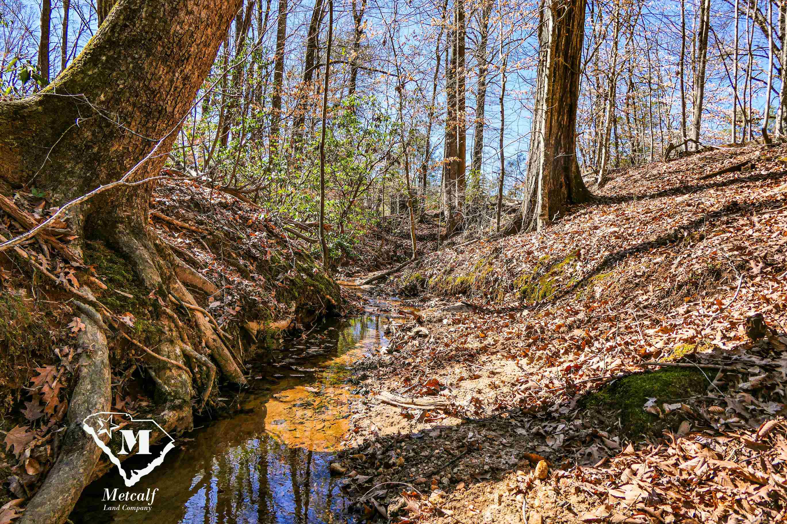 Club Road, Tryon, North Carolina image 3