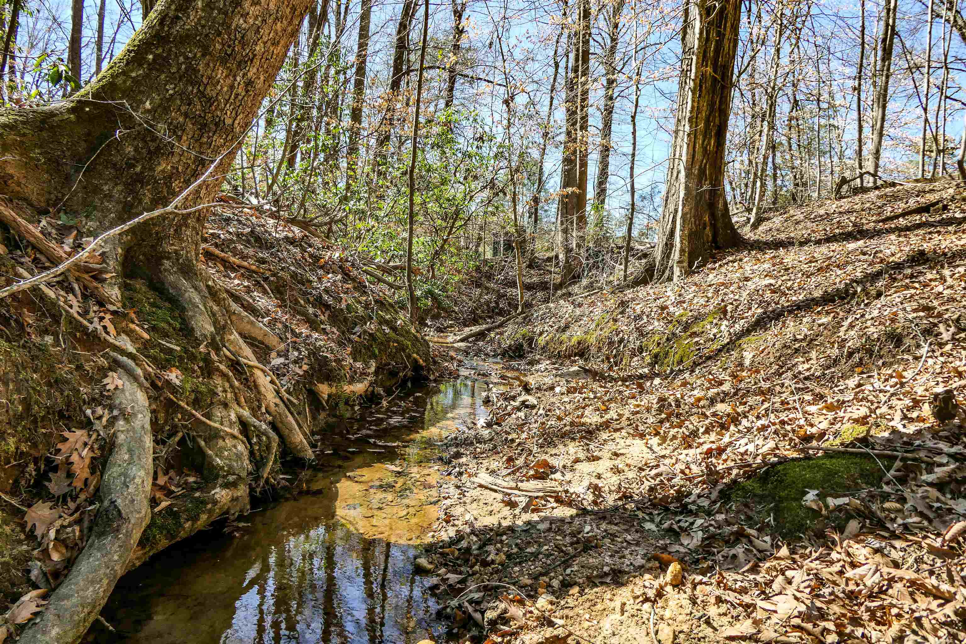 Club Road, Tryon, North Carolina image 7