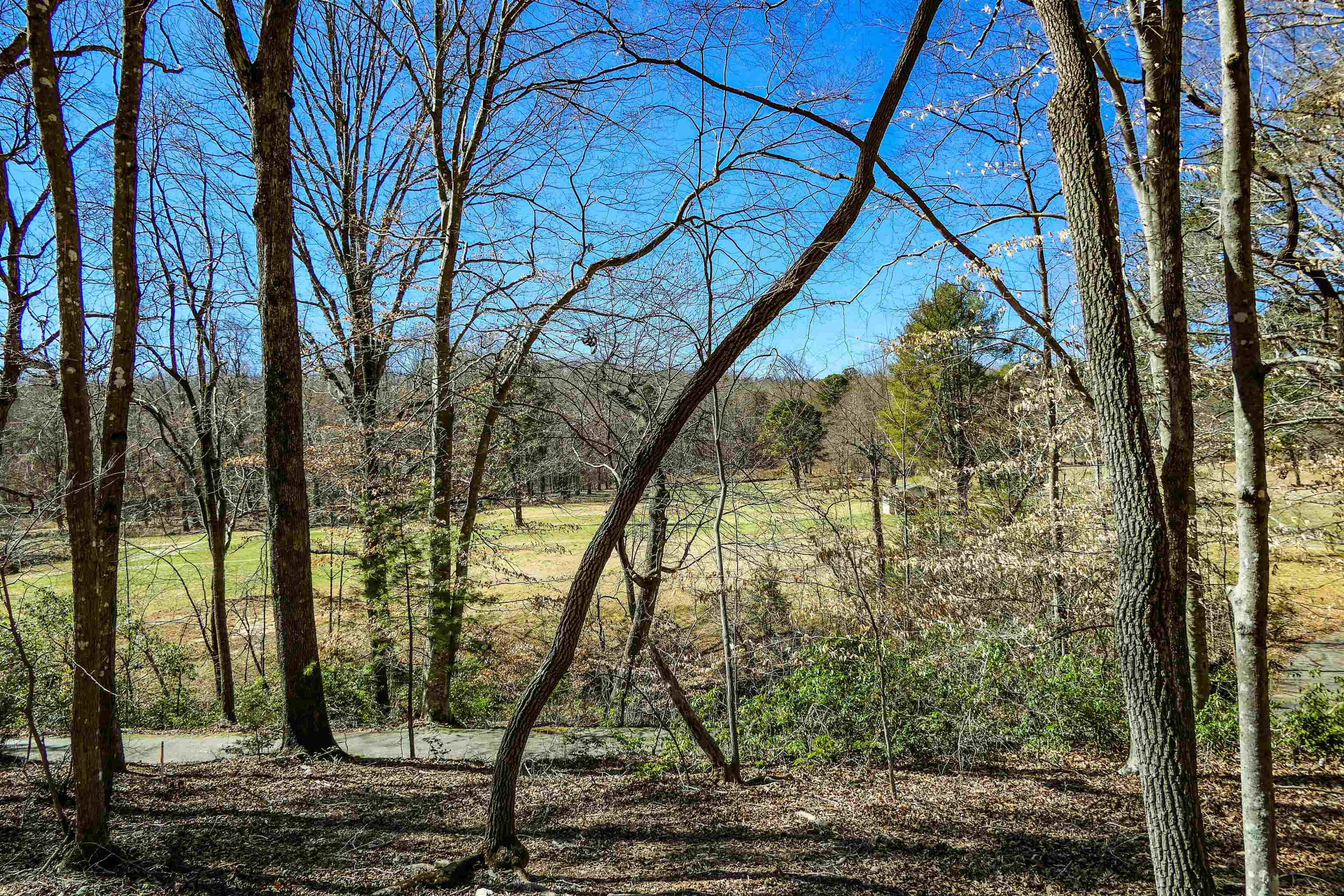 Club Road, Tryon, North Carolina image 8