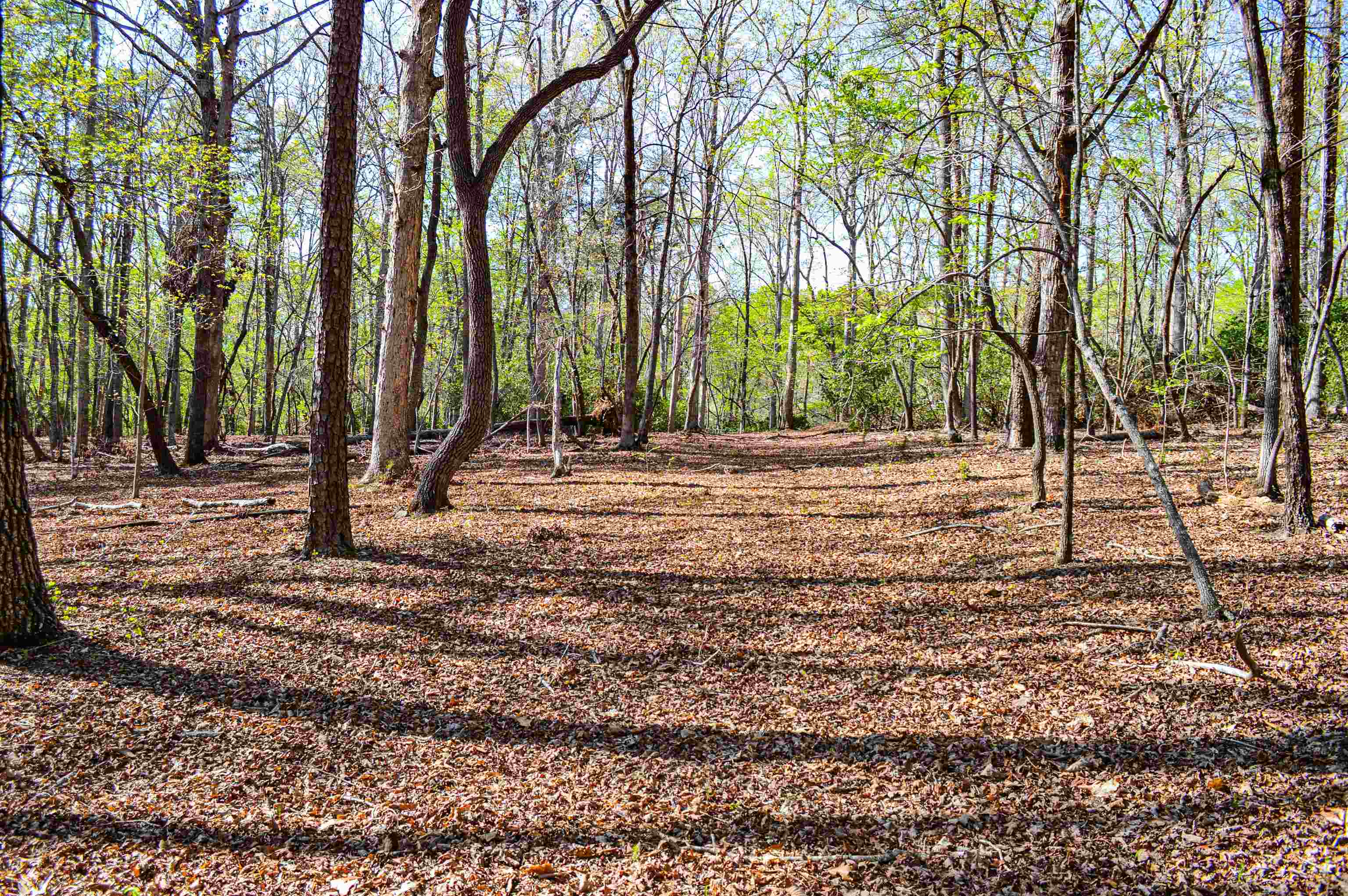 Club Road, Tryon, North Carolina image 1