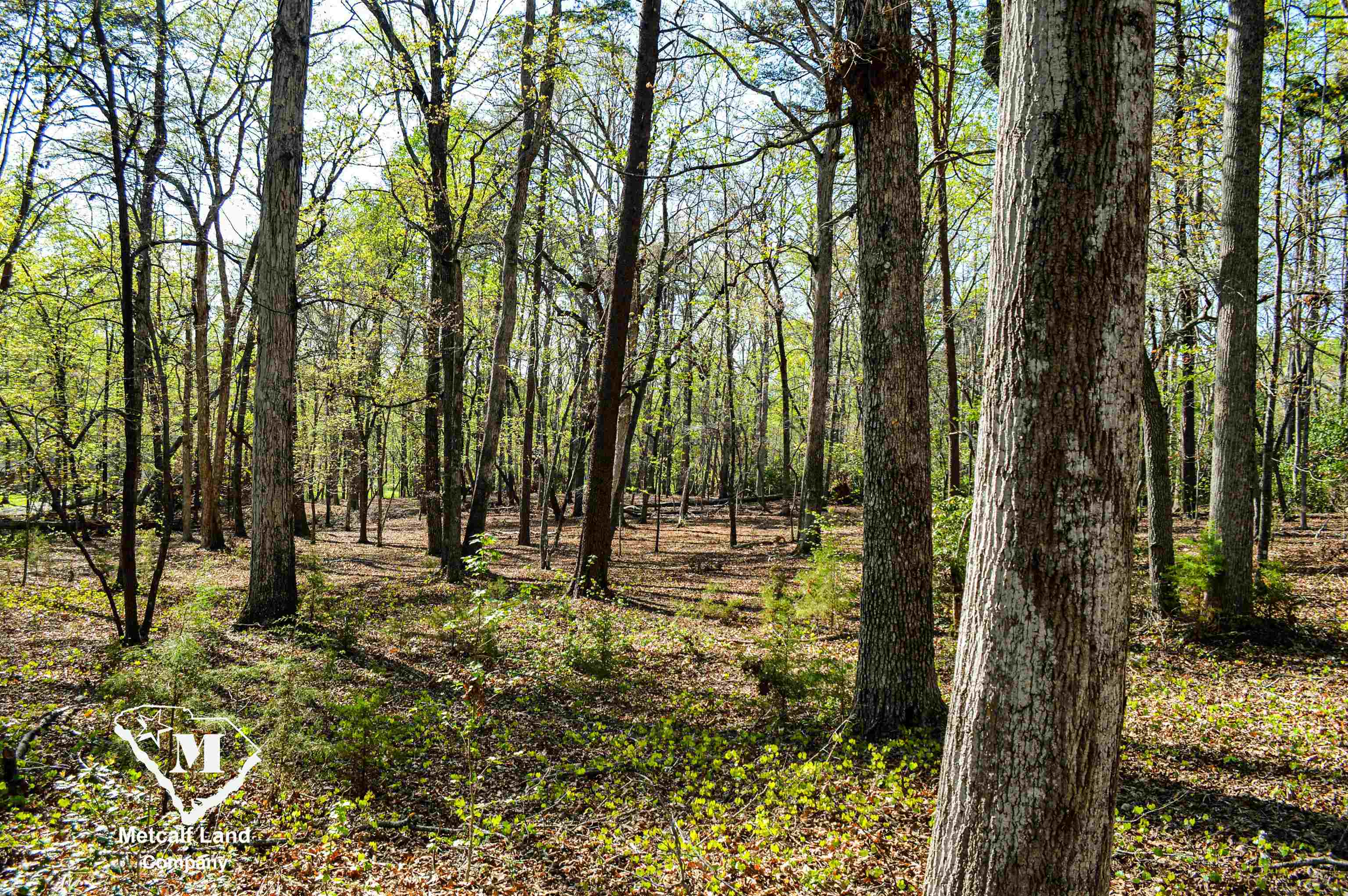 Club Road, Tryon, North Carolina image 3