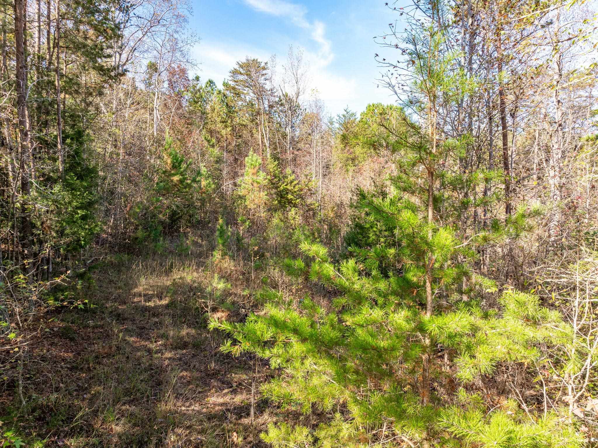 146 Spring Lake Road, Gaffney, South Carolina image 5